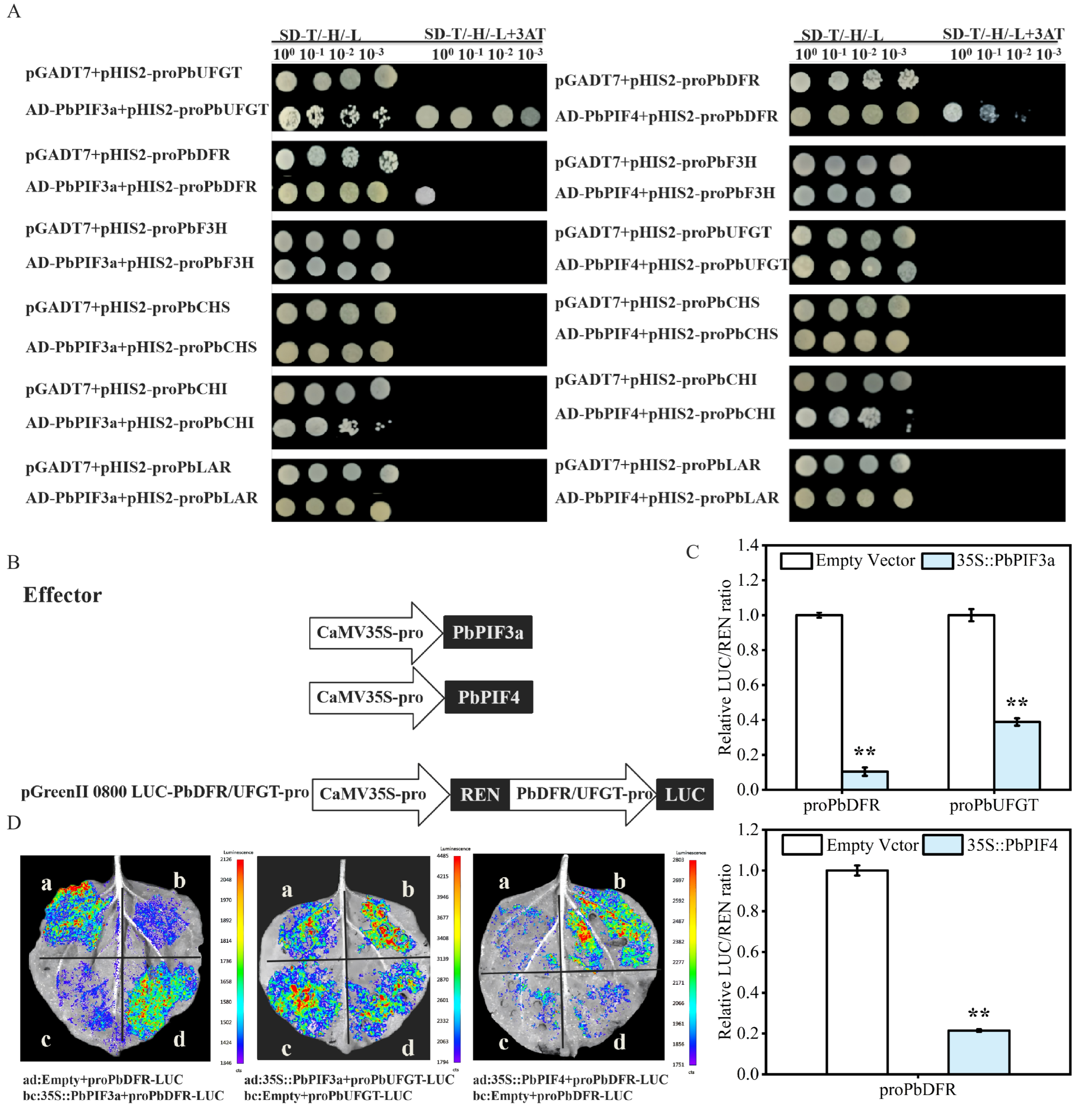 Agronomy 15 00959 g007