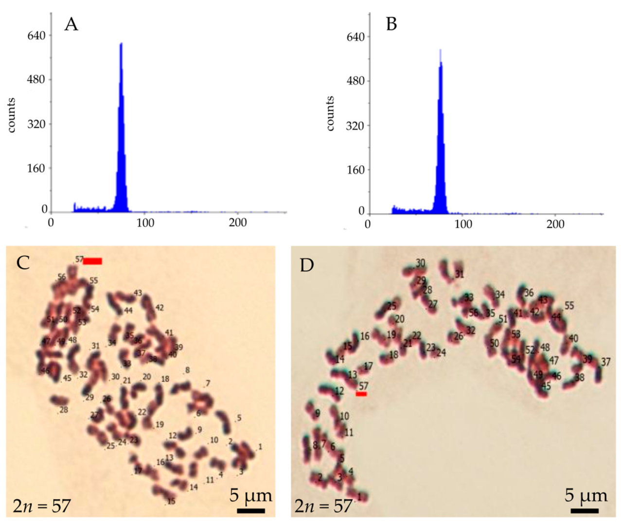 Agronomy 15 00962 g007