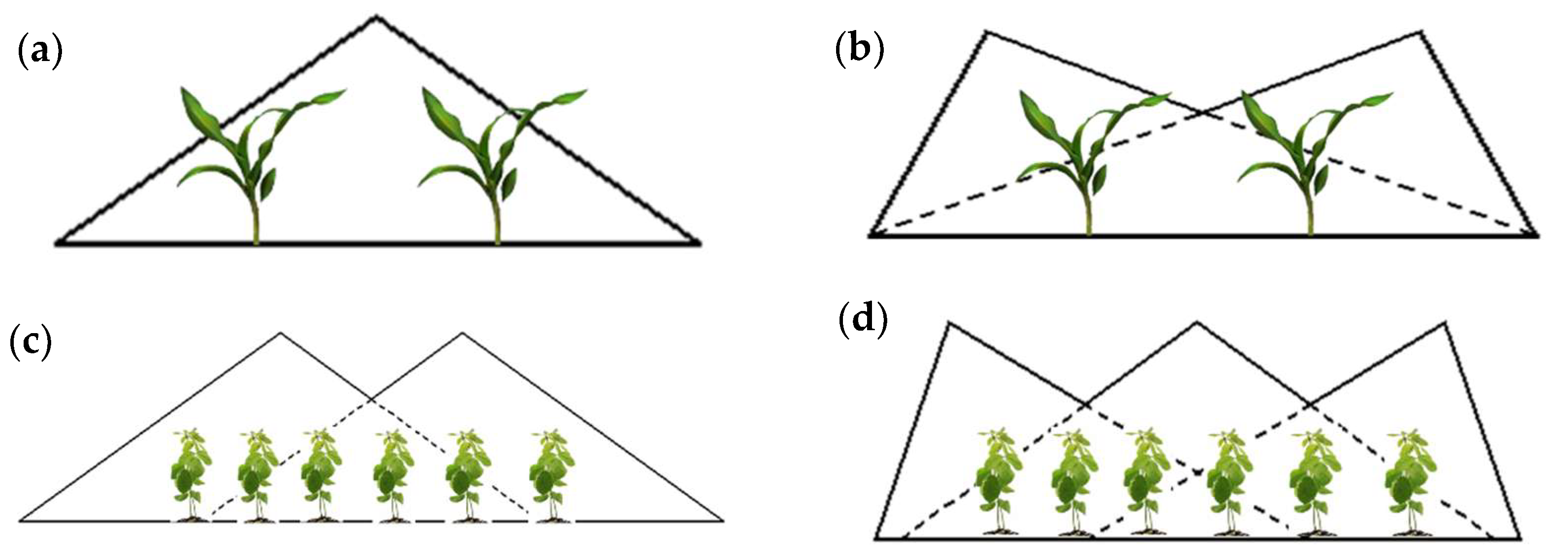 Agronomy 15 00985 g003
