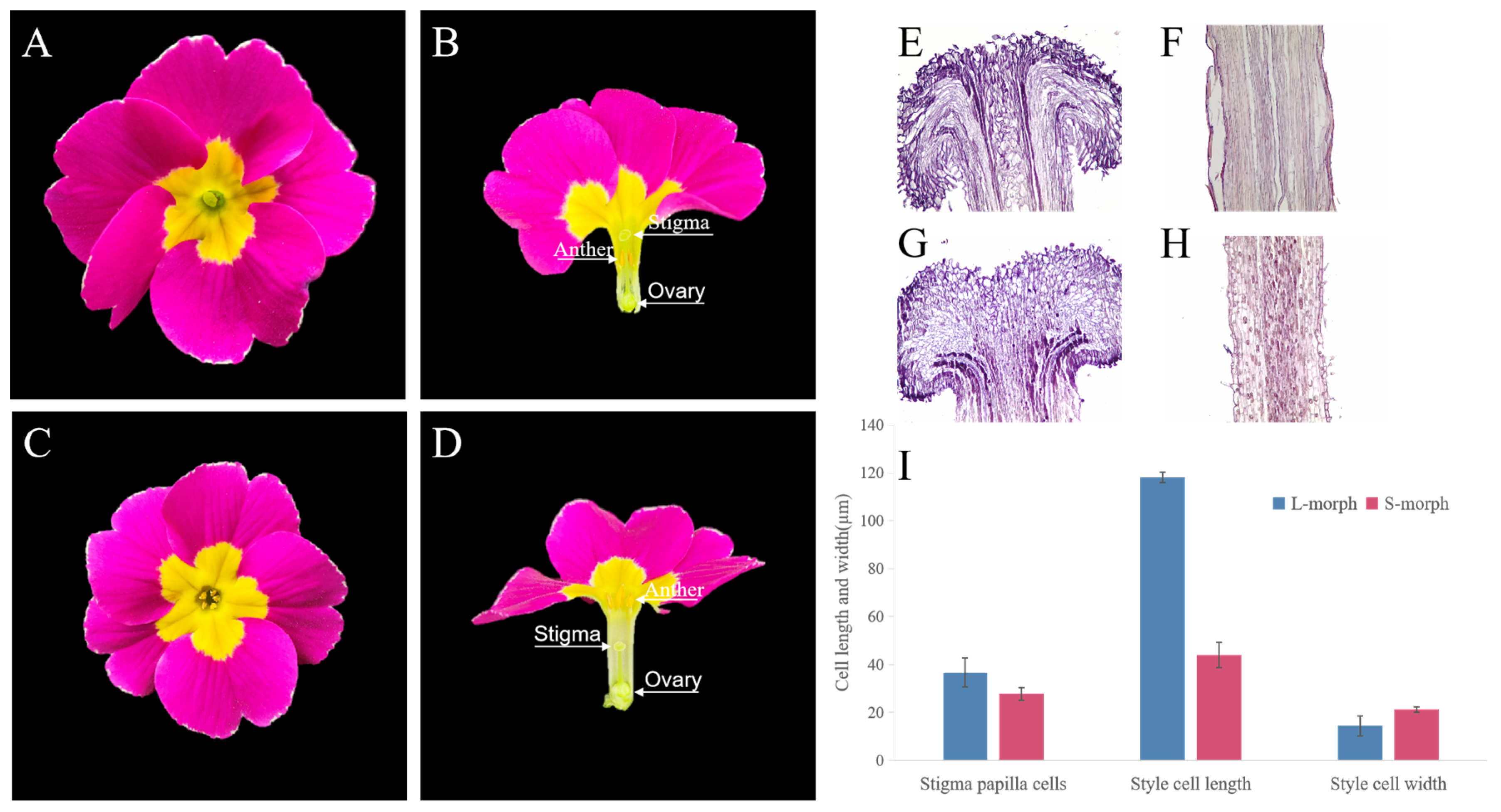 Agronomy 15 00997 g001