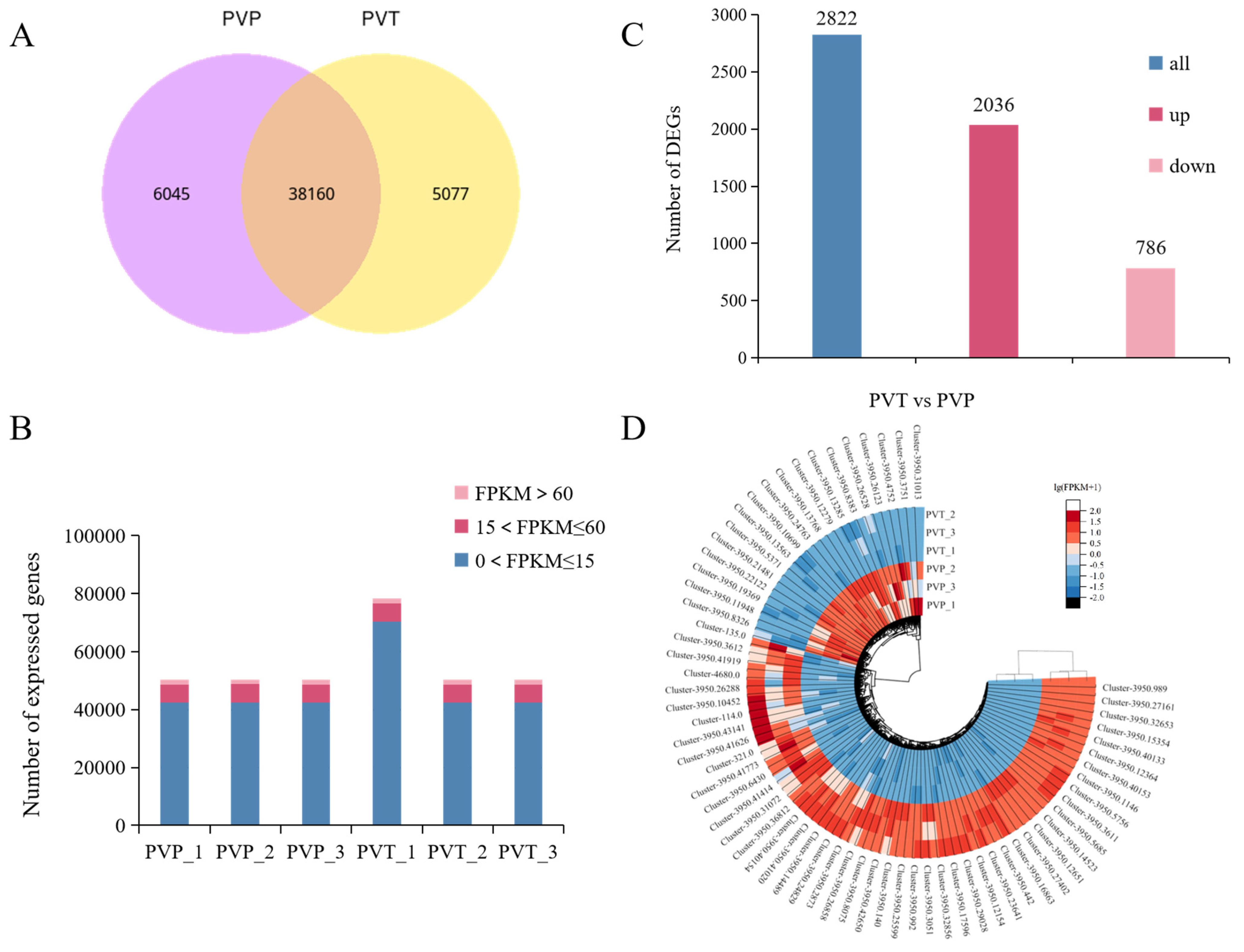 Agronomy 15 00997 g002