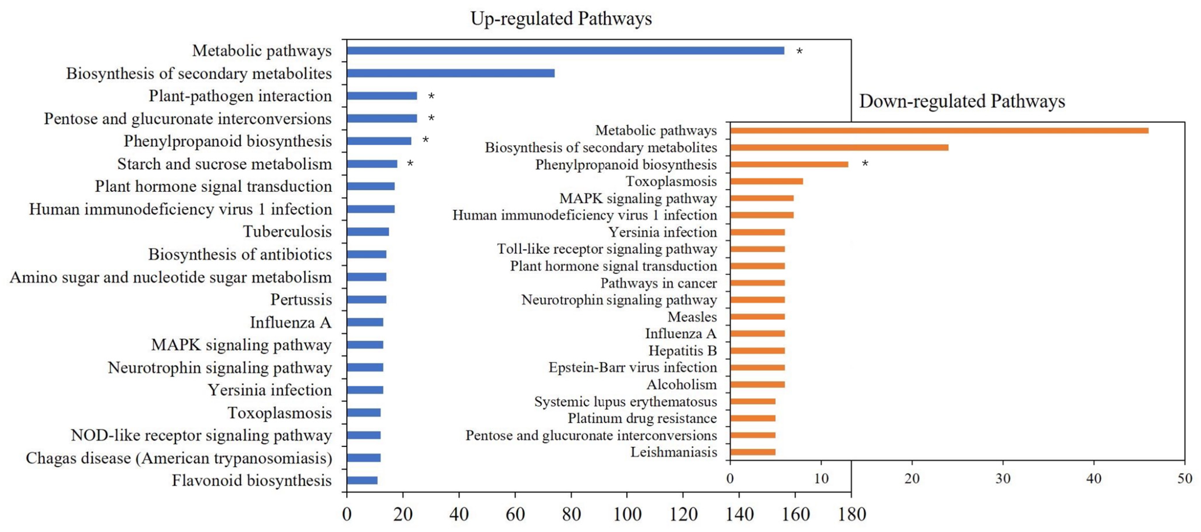 Agronomy 15 00997 g003