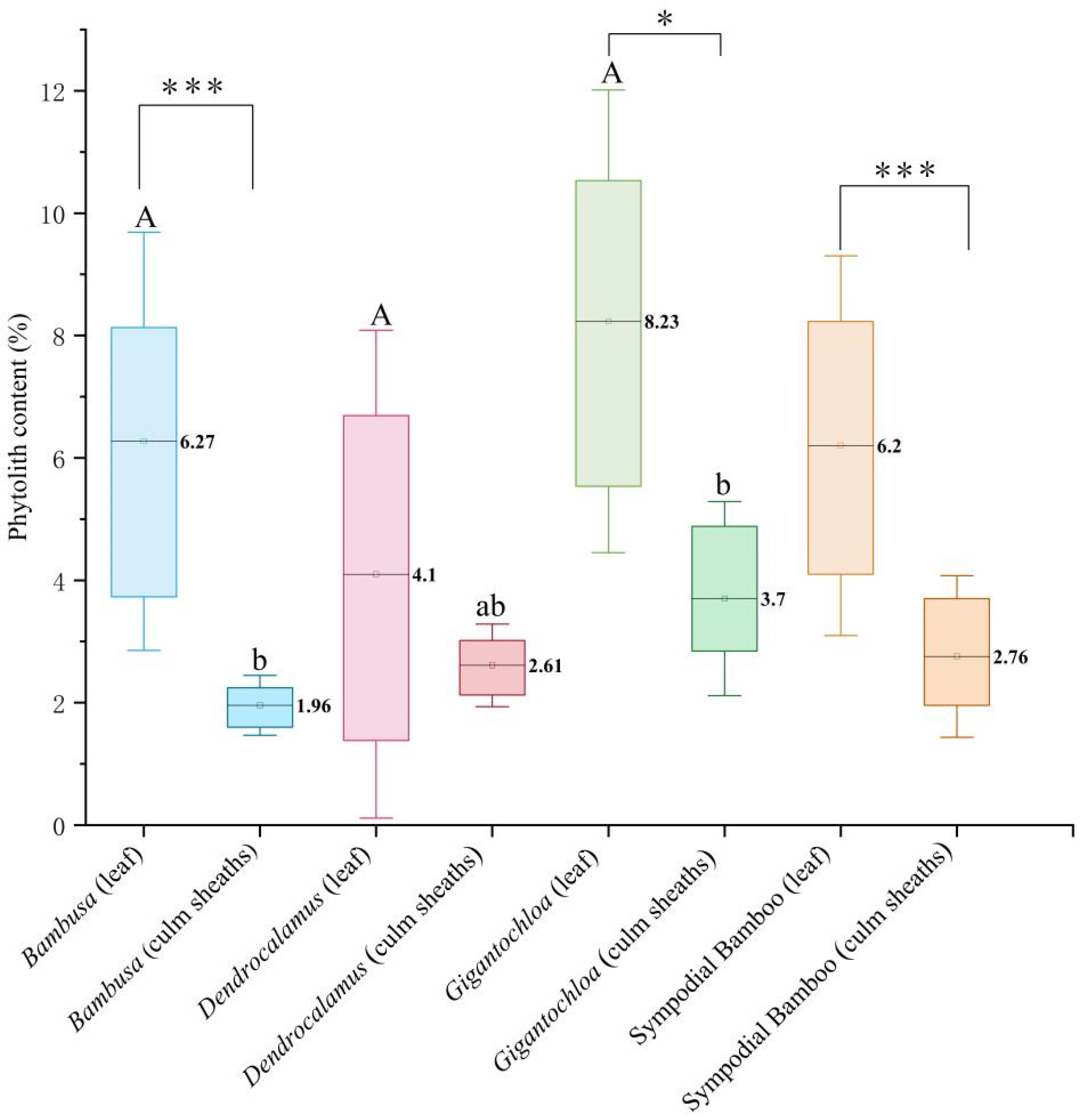 Agronomy 15 00999 g001