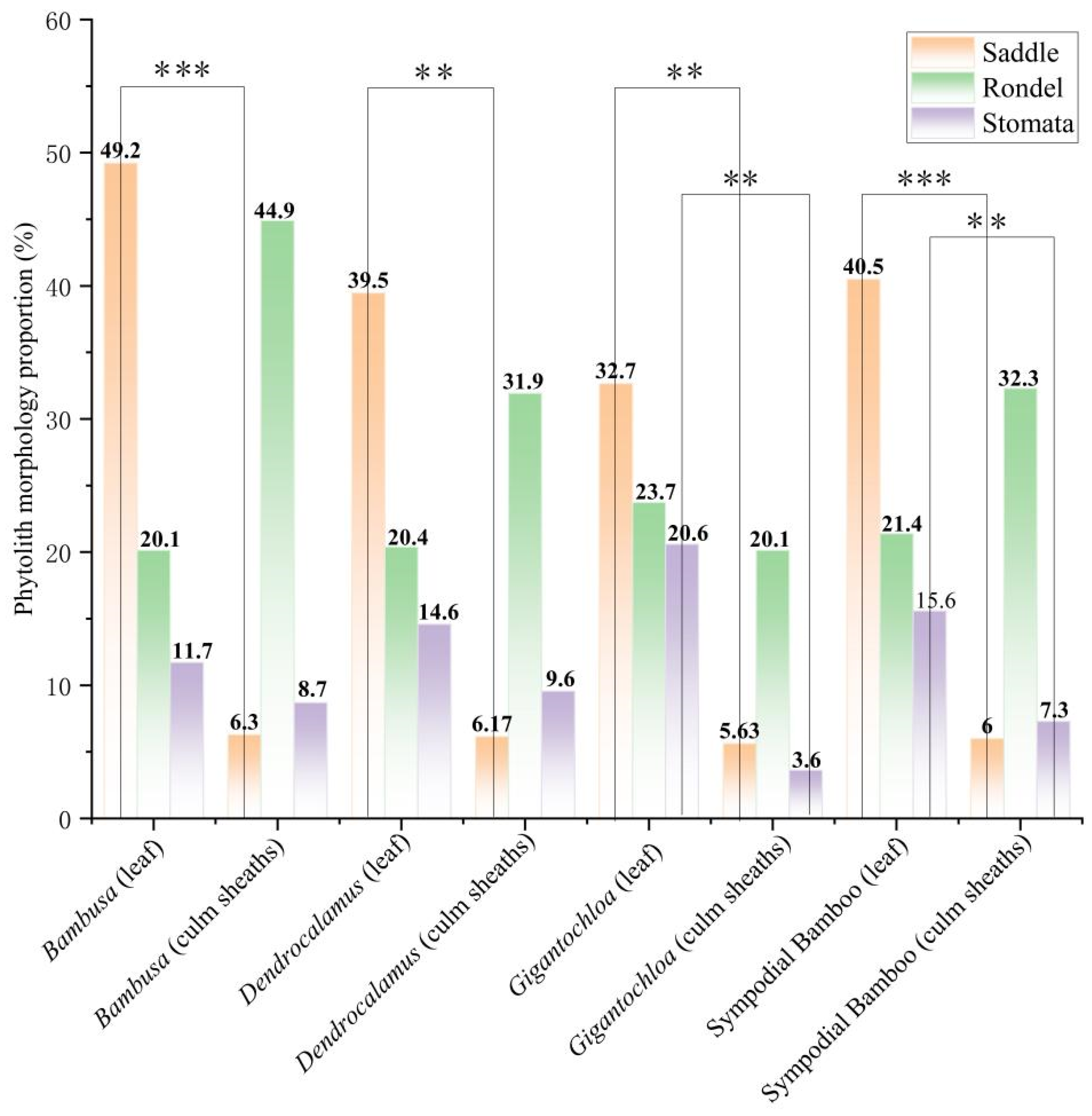 Agronomy 15 00999 g006