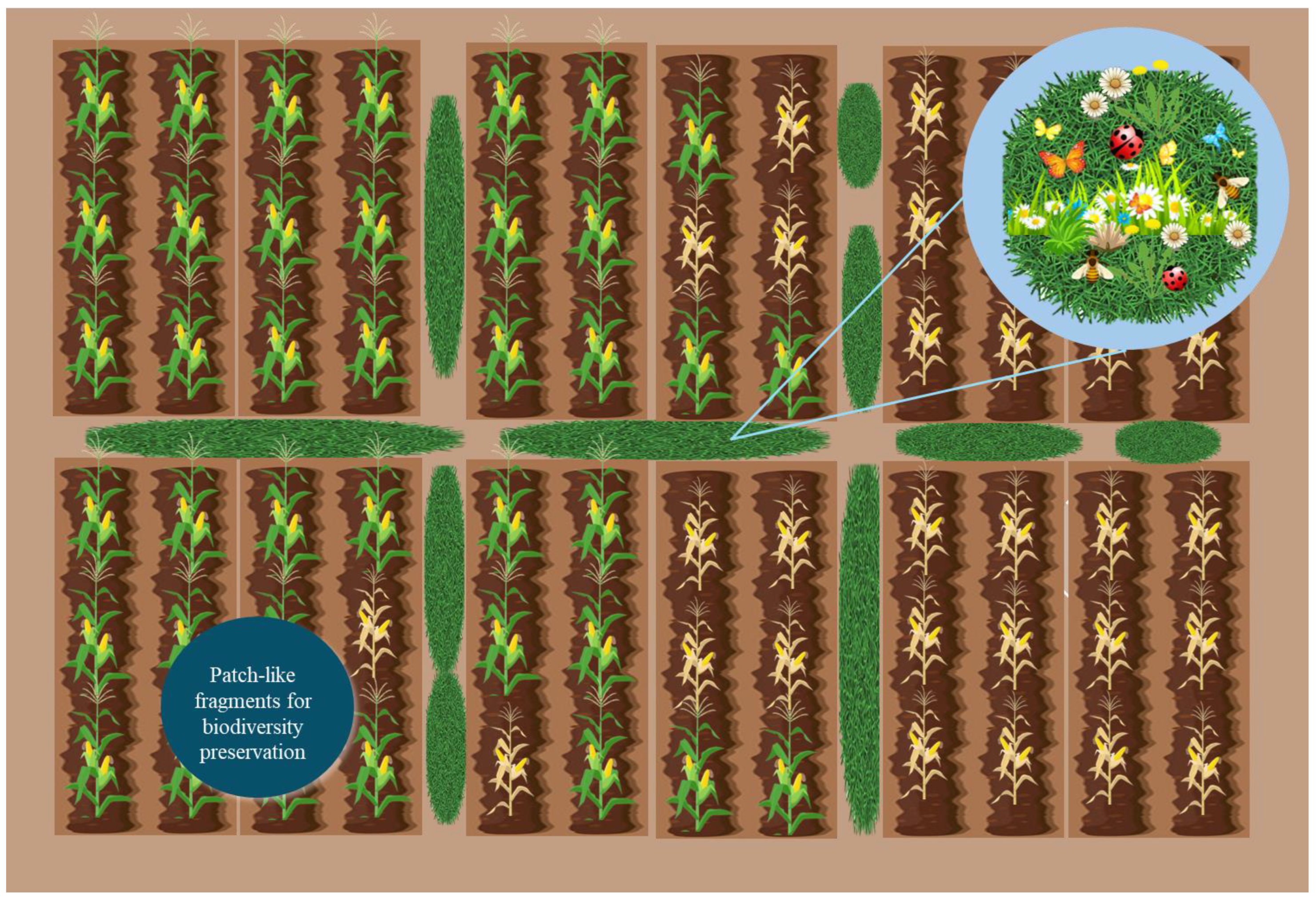 Agronomy 15 01003 g003 Agronomy 15 01003 g003