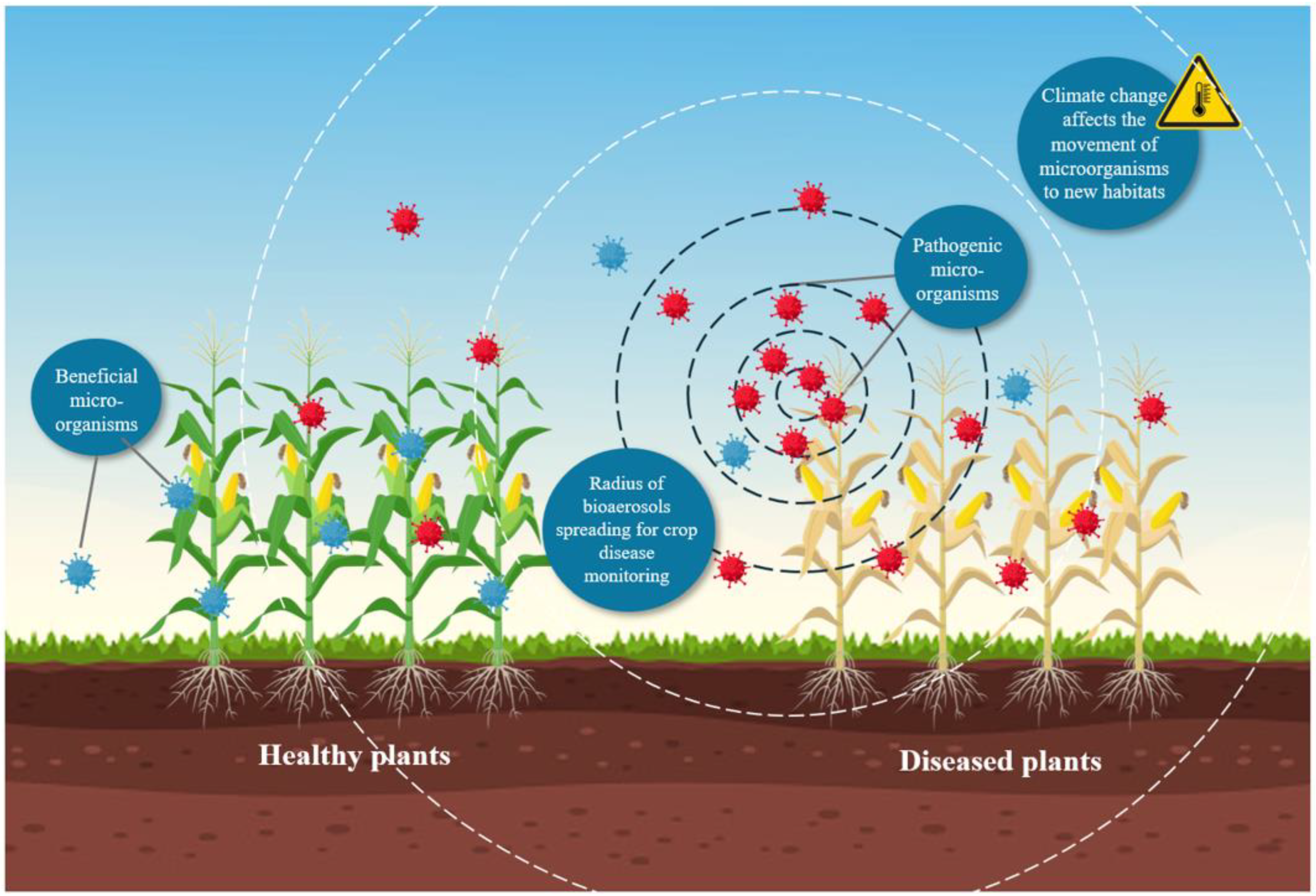 Agronomy 15 01003 g004 Agronomy 15 01003 g004