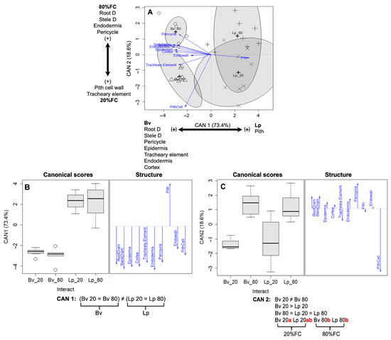 Agronomy 15 01024 g003