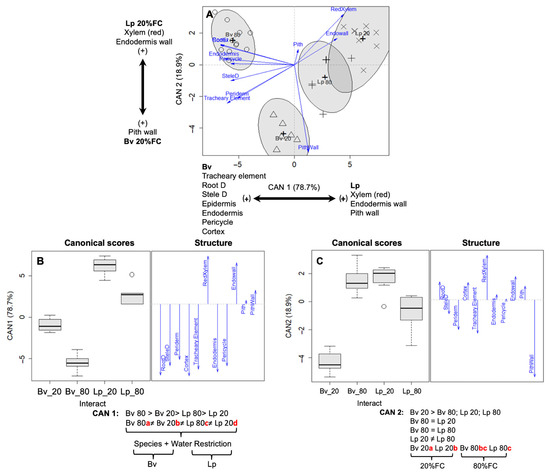 Agronomy 15 01024 g004