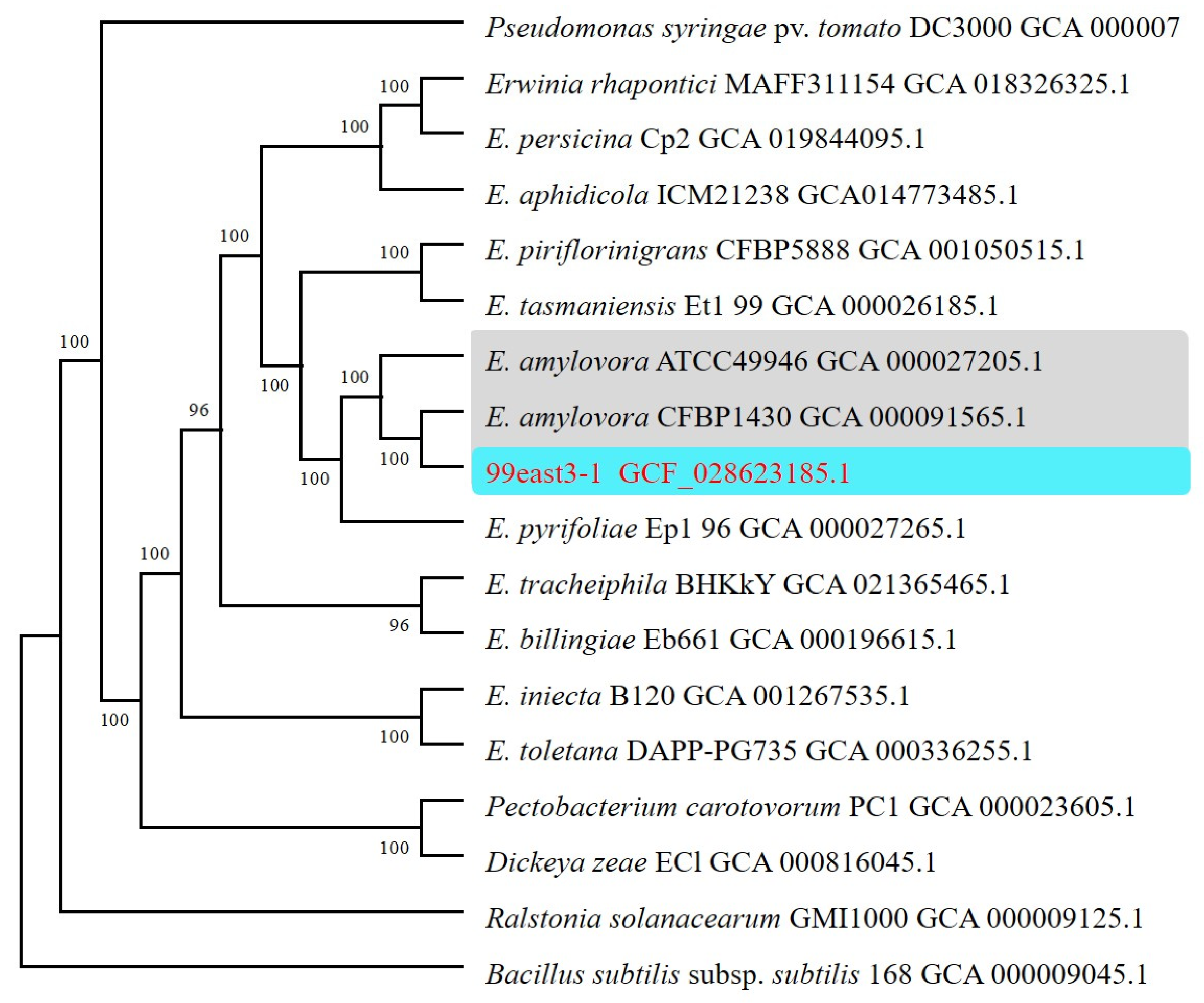 Agronomy 15 01065 g001