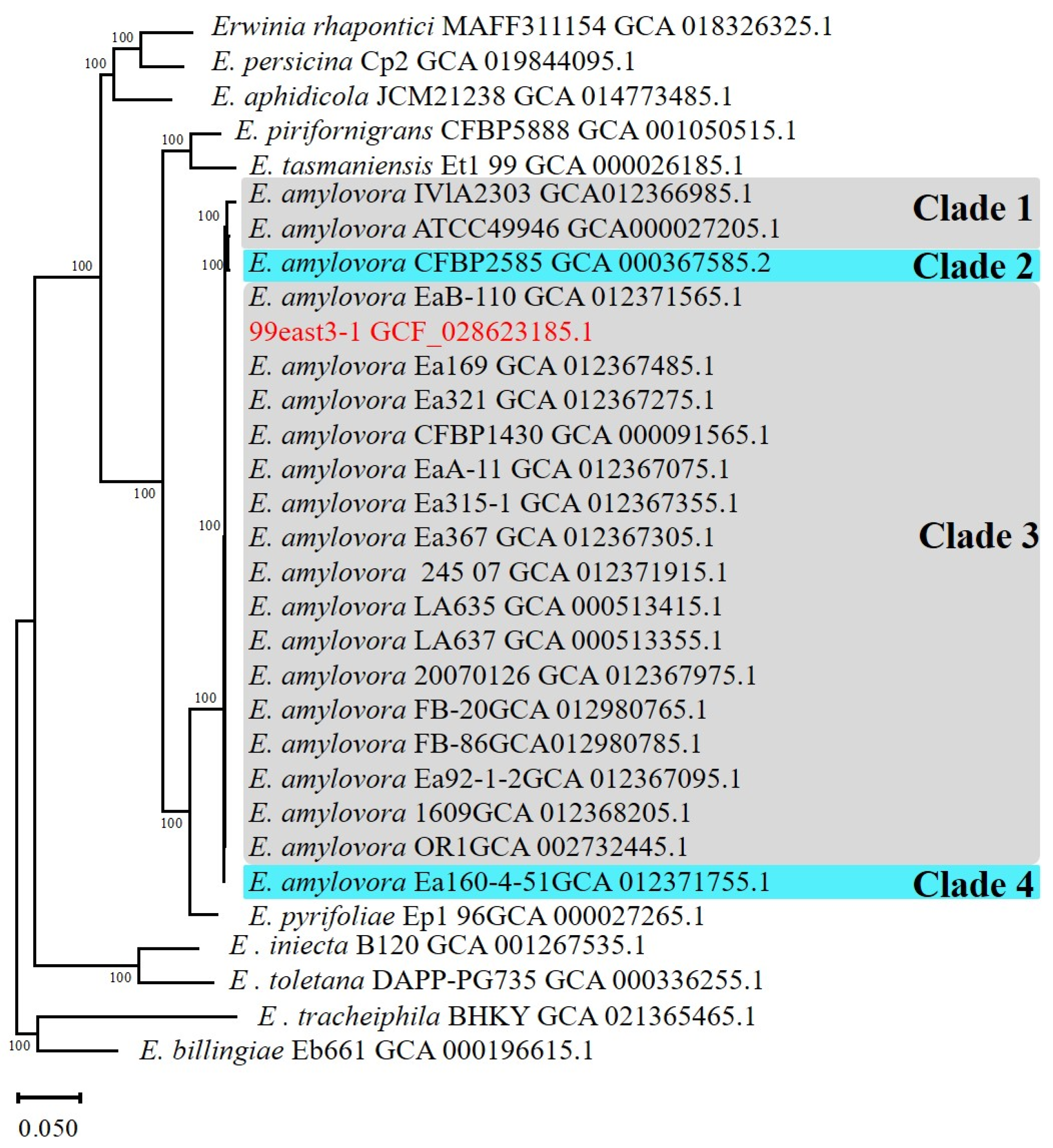 Agronomy 15 01065 g002
