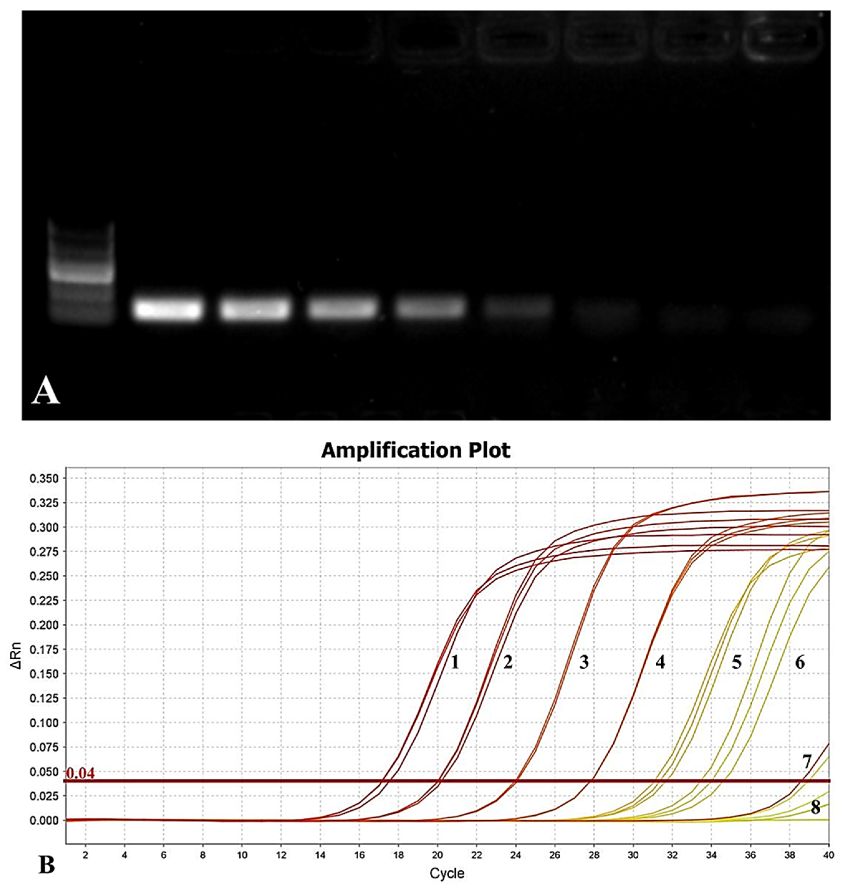 Agronomy 15 01065 g006