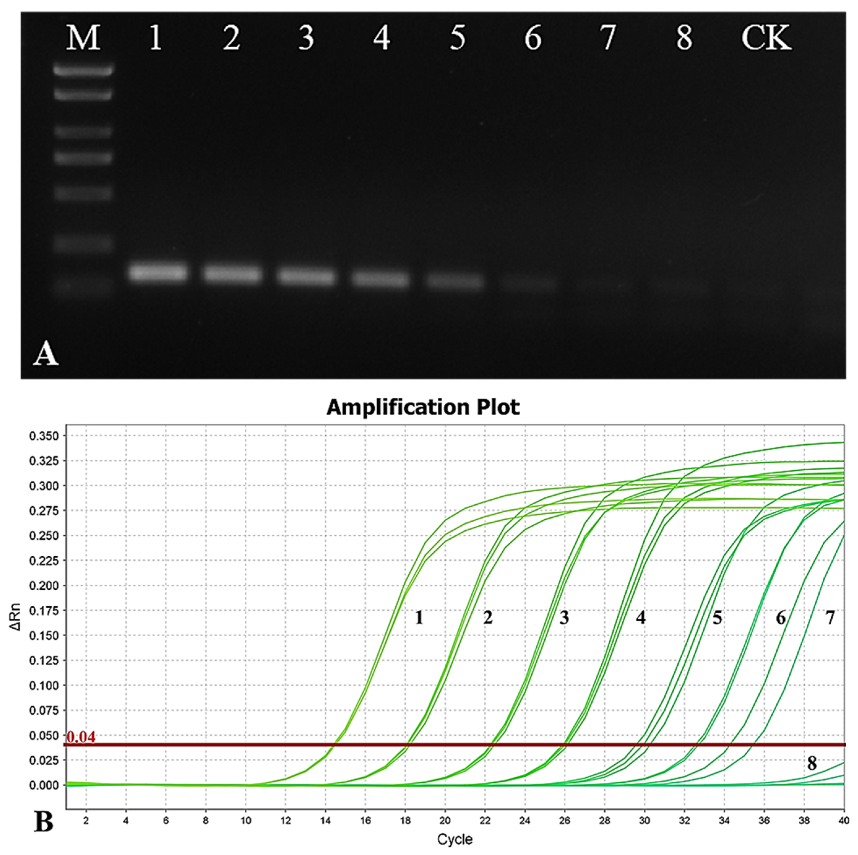 Agronomy 15 01065 g007