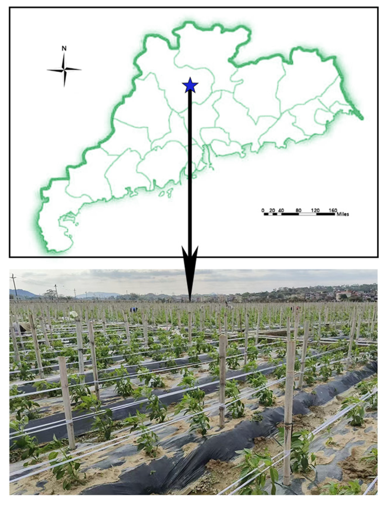 Agronomy 15 01118 g001 Agronomy 15 01118 g001