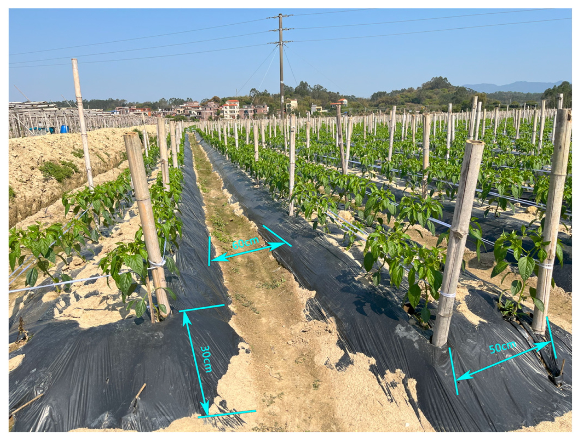 Agronomy 15 01118 g011 Agronomy 15 01118 g011