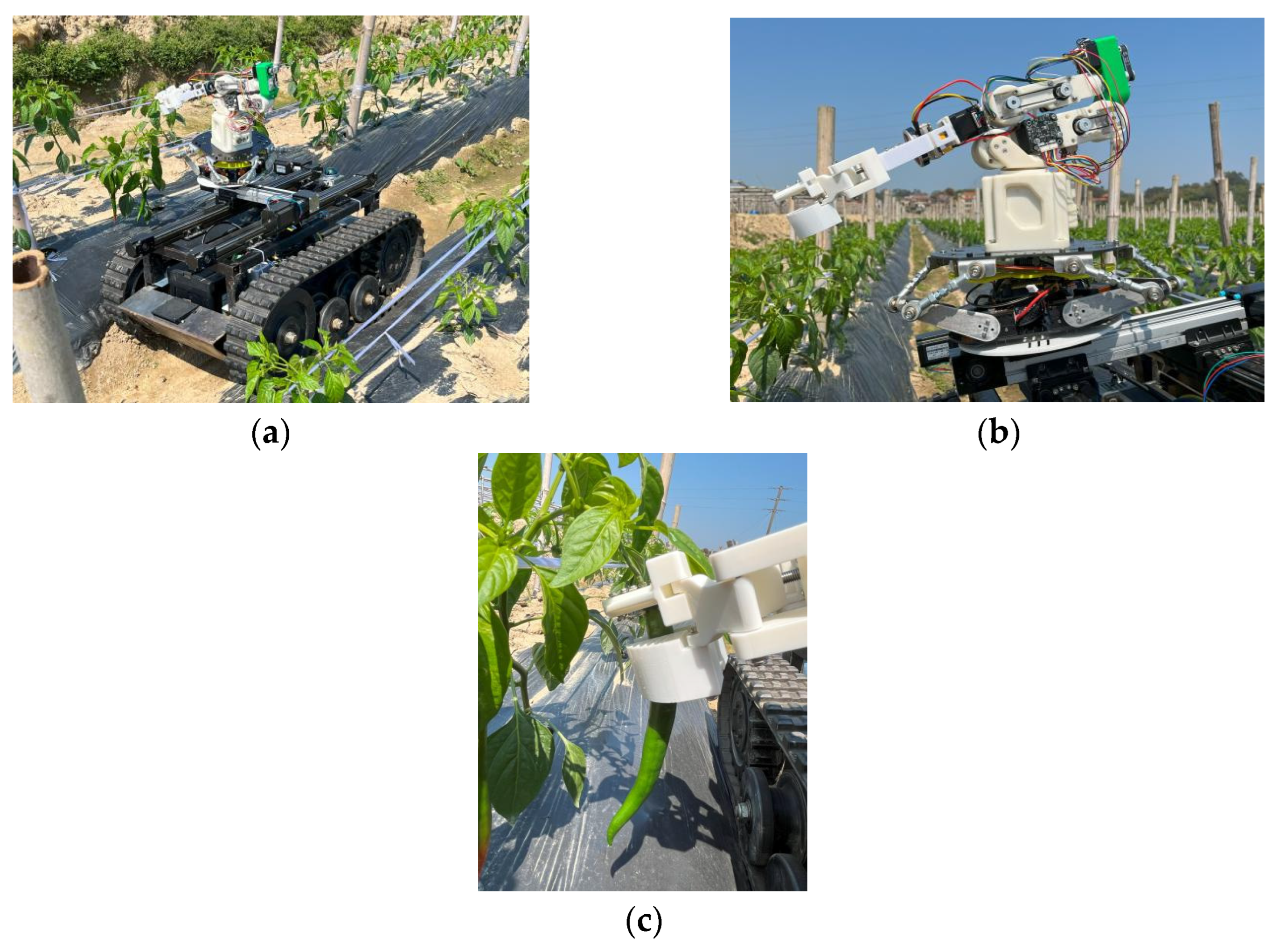 Agronomy 15 01118 g012 Agronomy 15 01118 g012