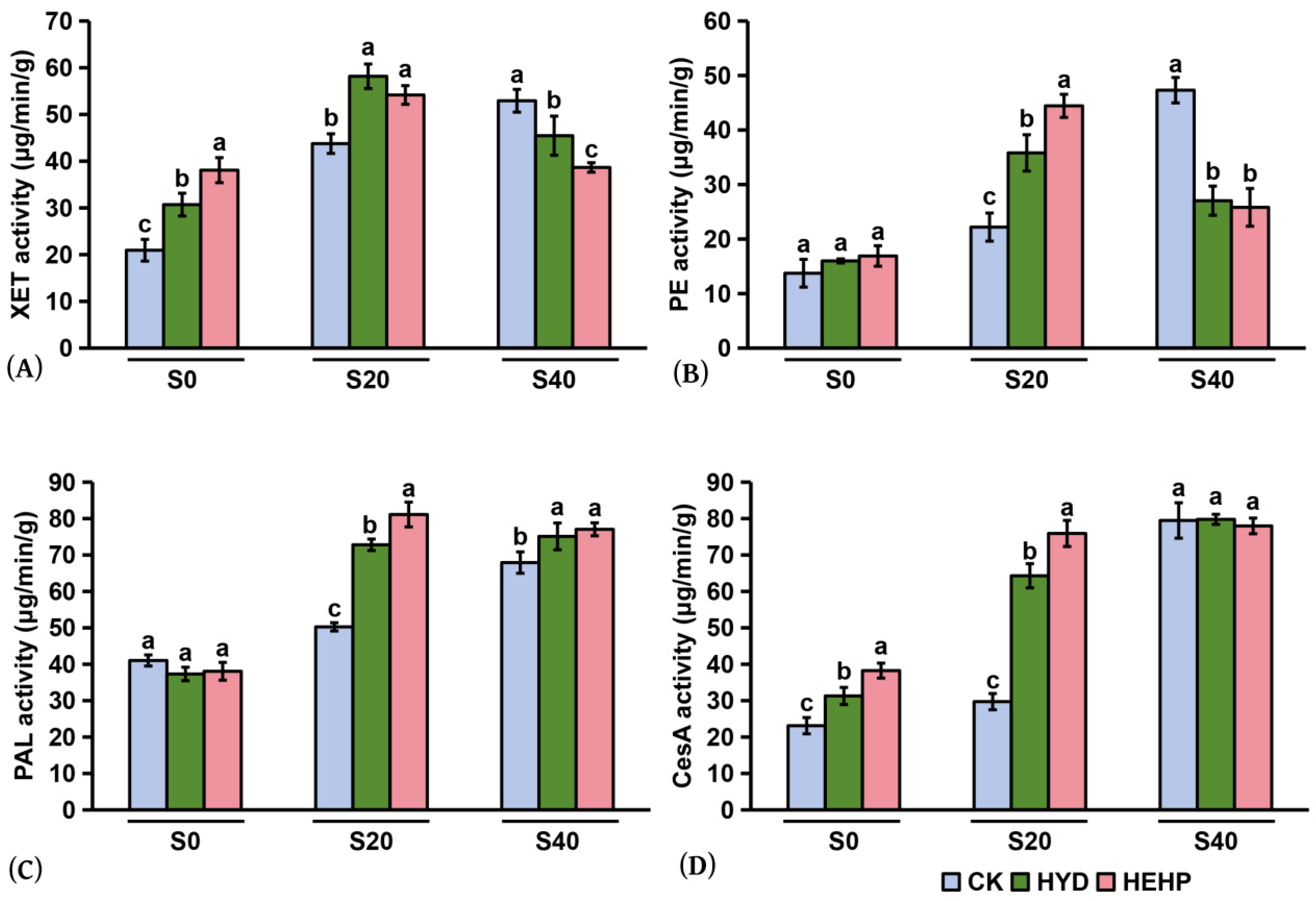 Agronomy 15 01147 g005