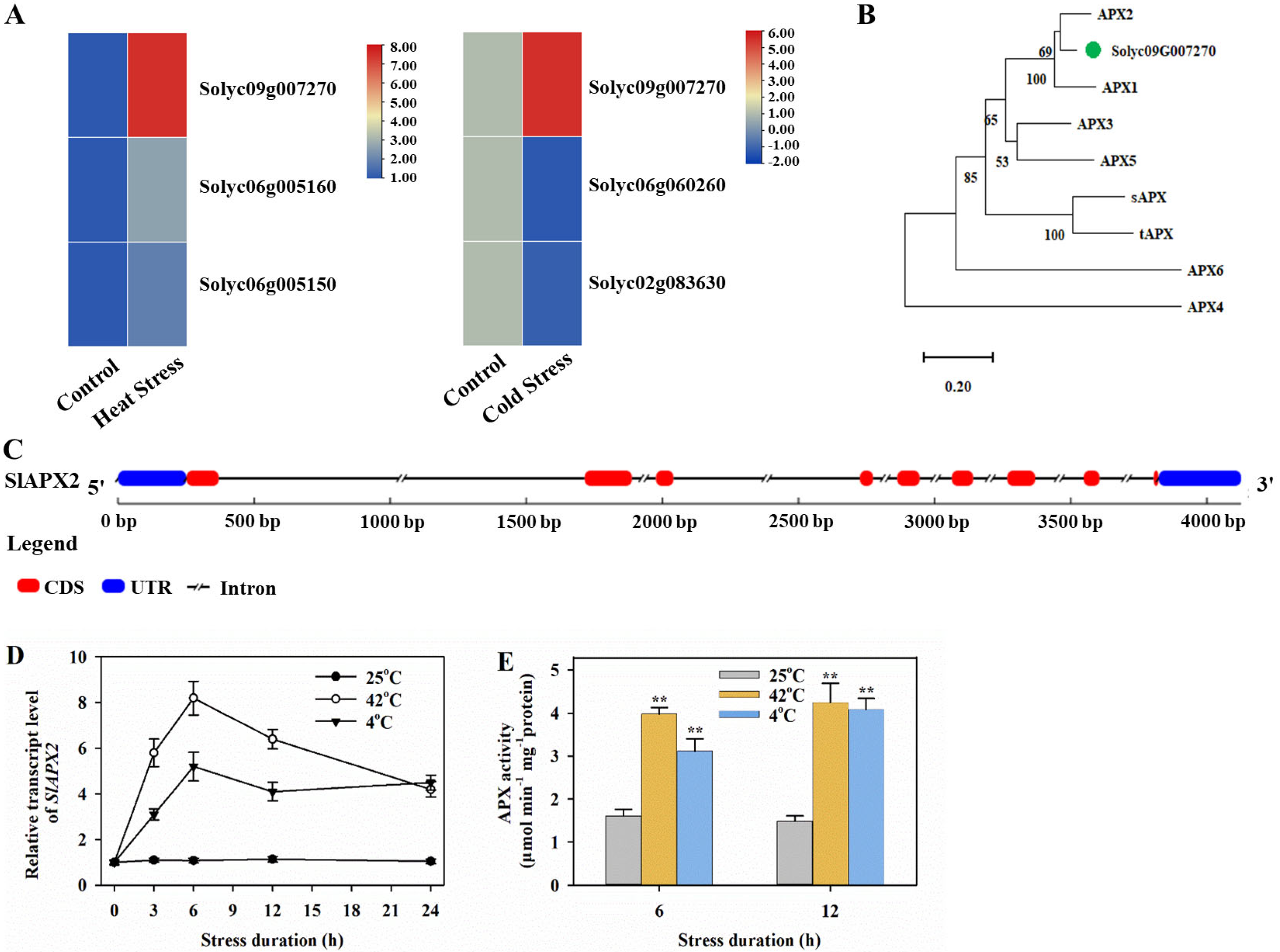 Agronomy 15 01206 g001