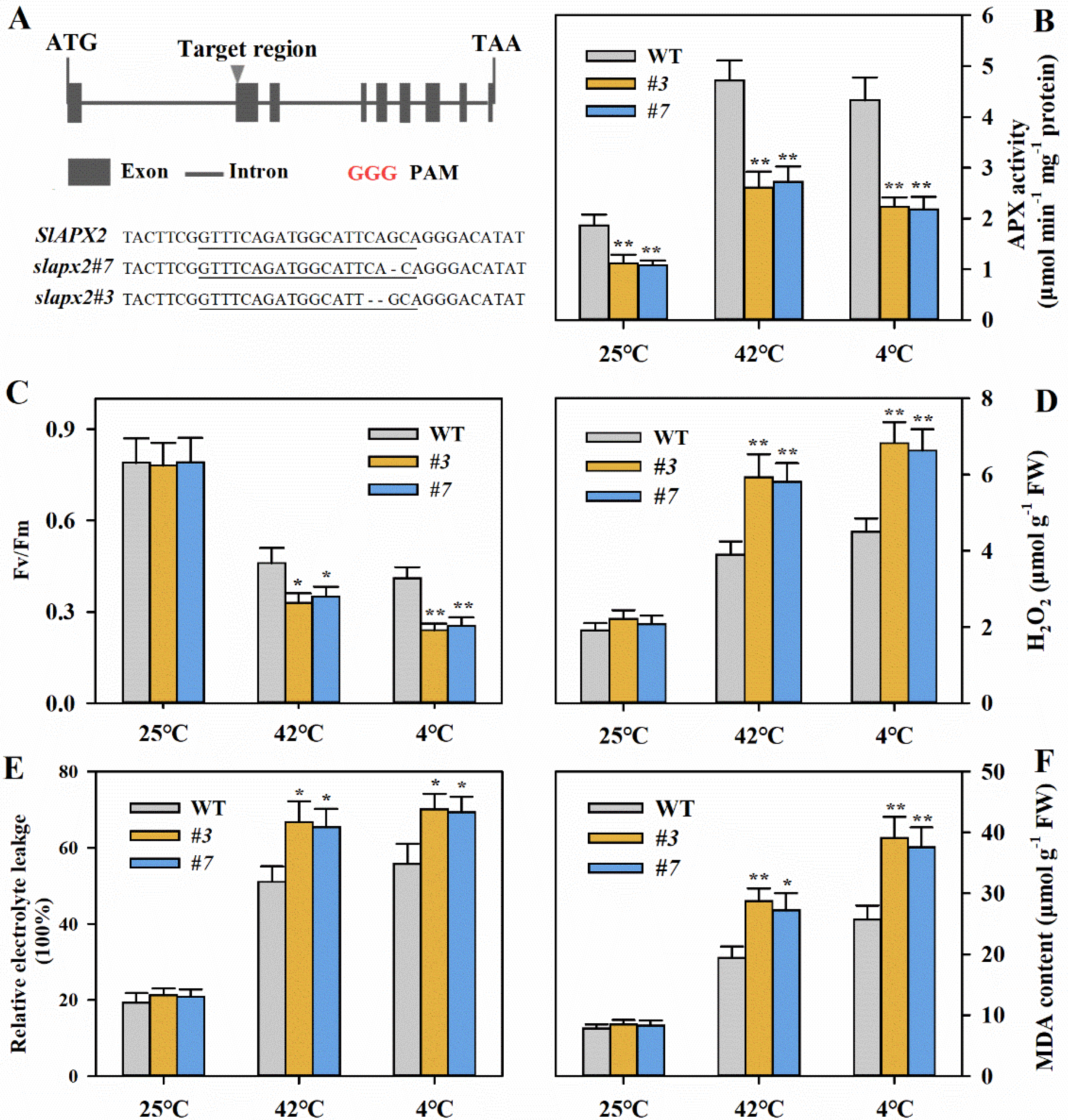Agronomy 15 01206 g002