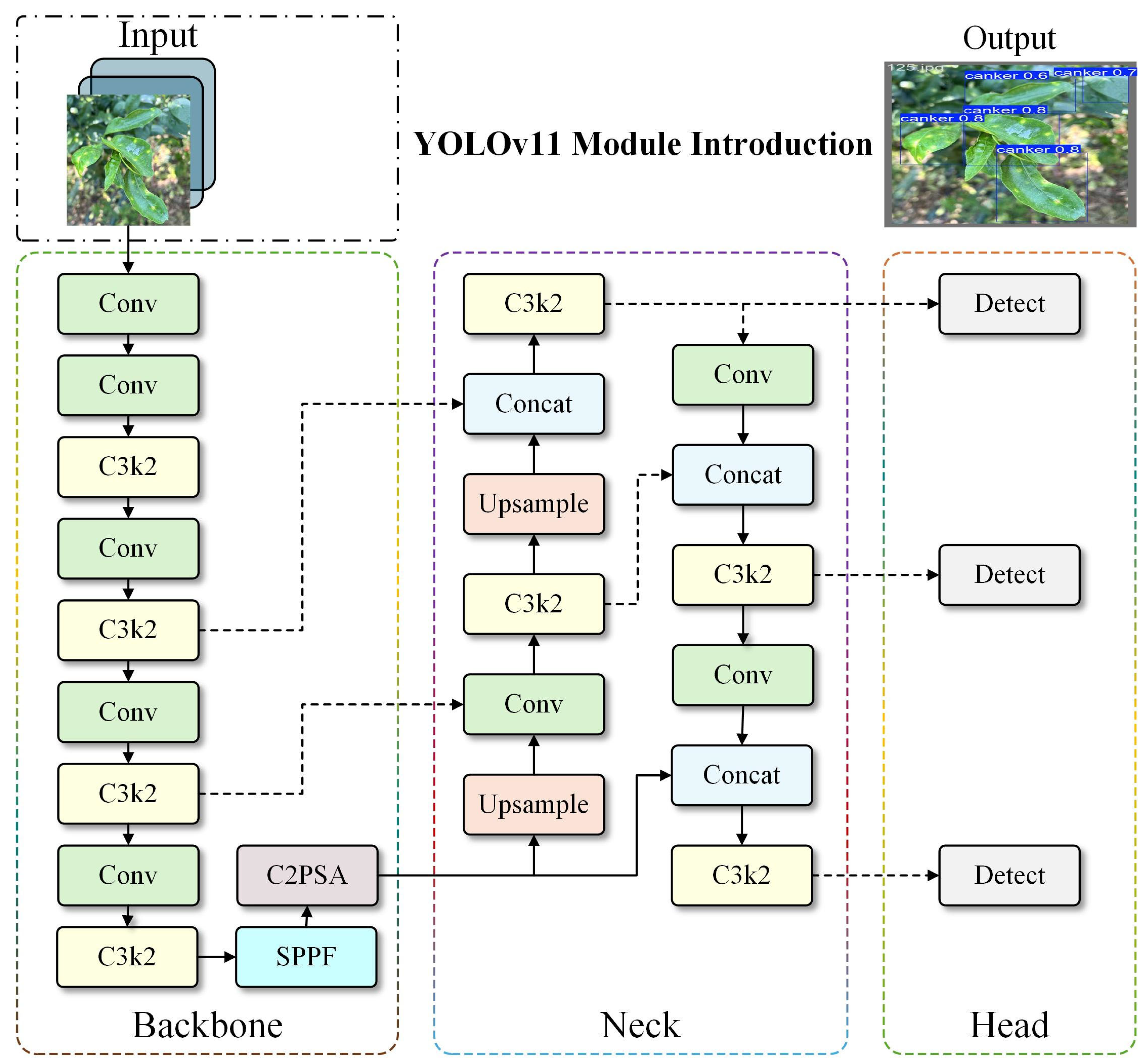 Agronomy 15 01252 g003