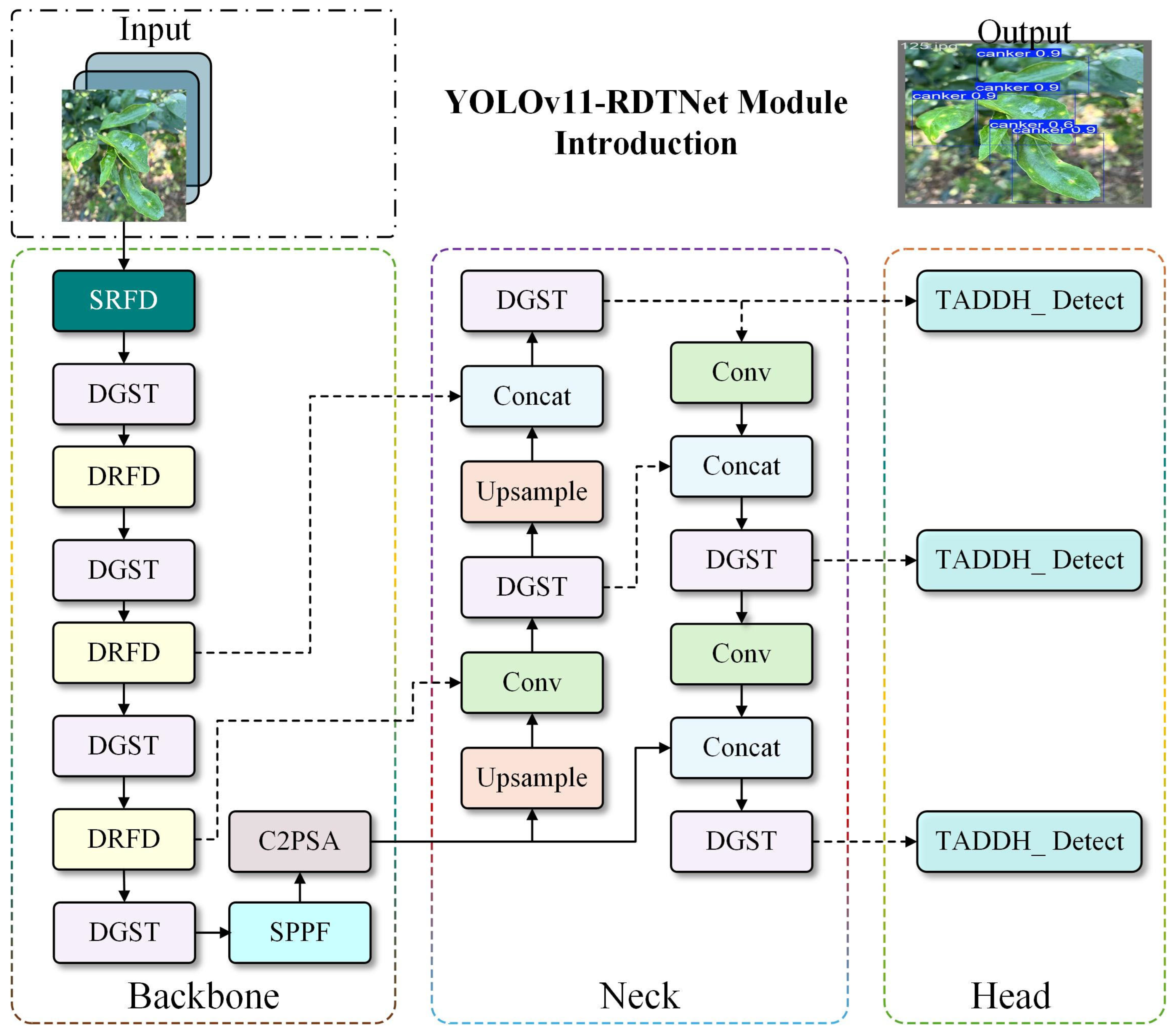 Agronomy 15 01252 g009