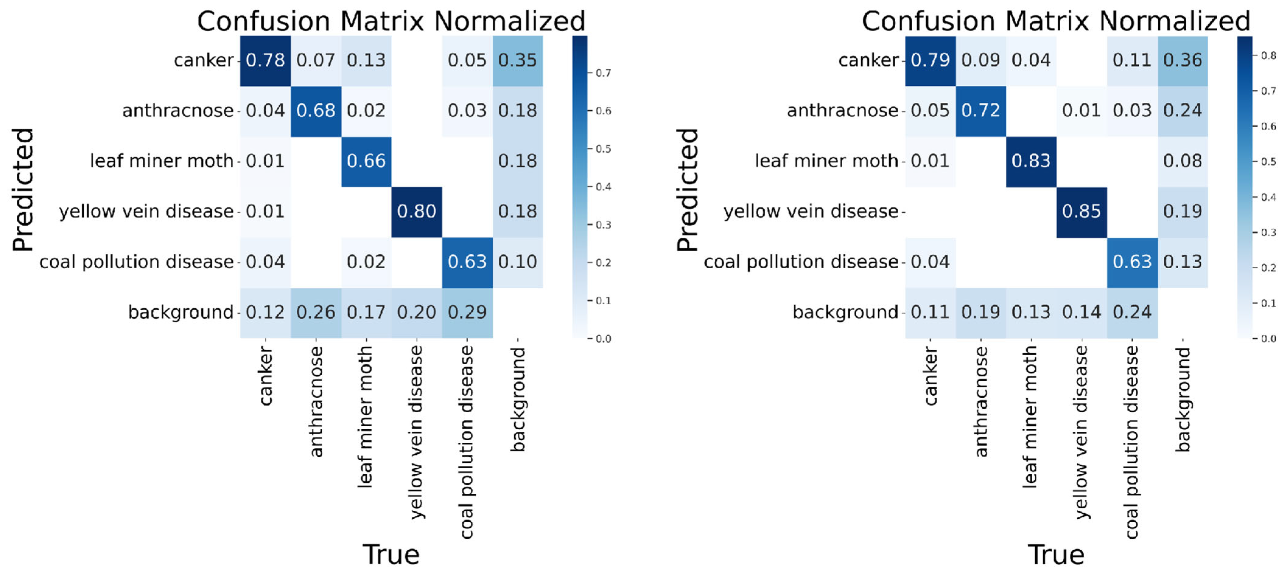 Agronomy 15 01252 g011
