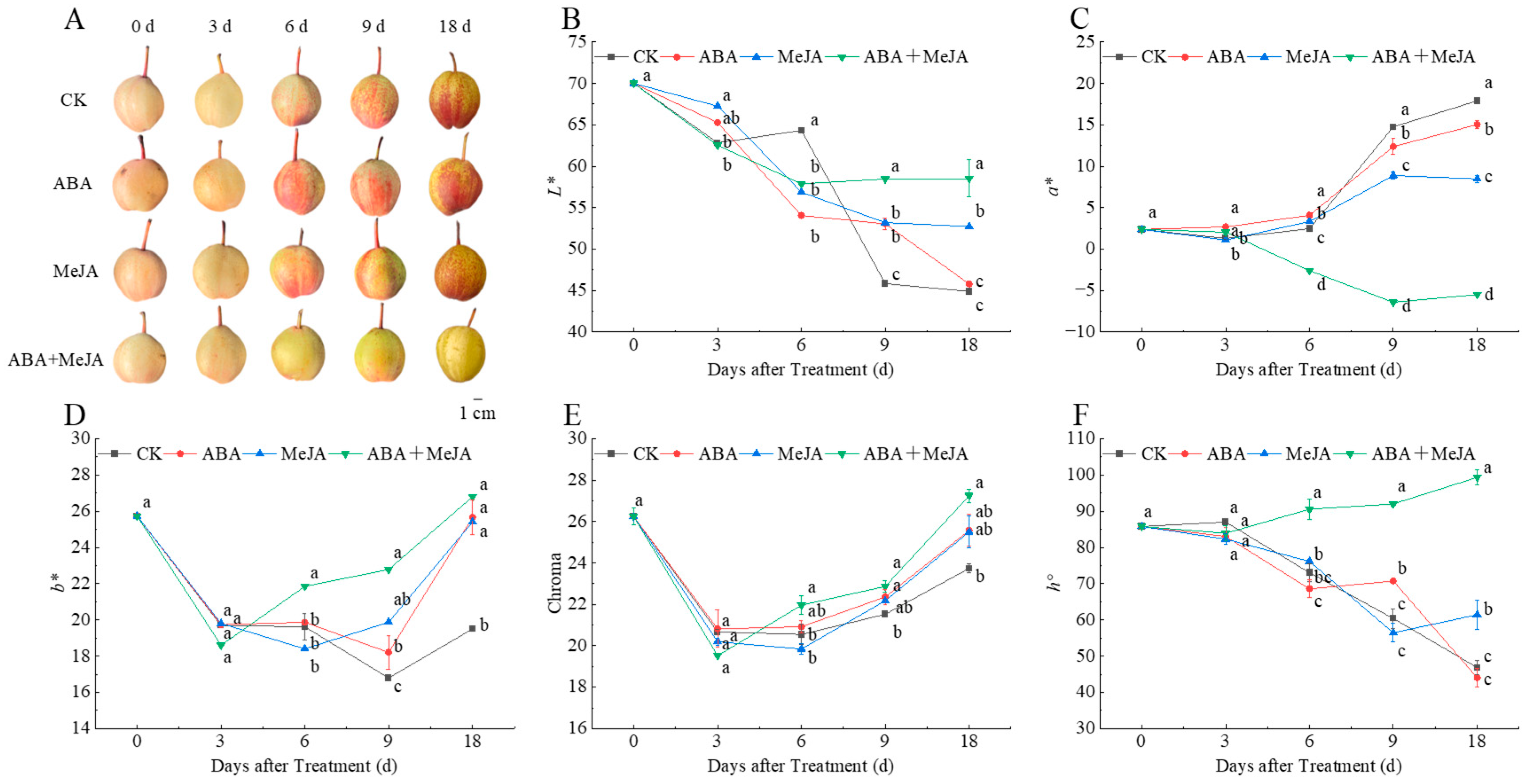 Agronomy 15 01263 g001