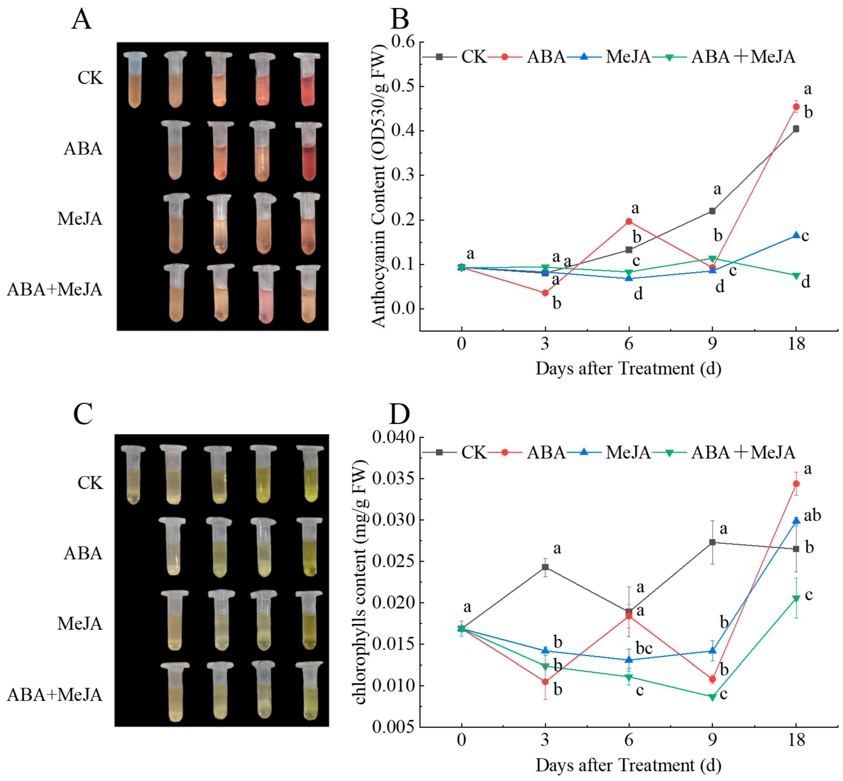 Agronomy 15 01263 g002