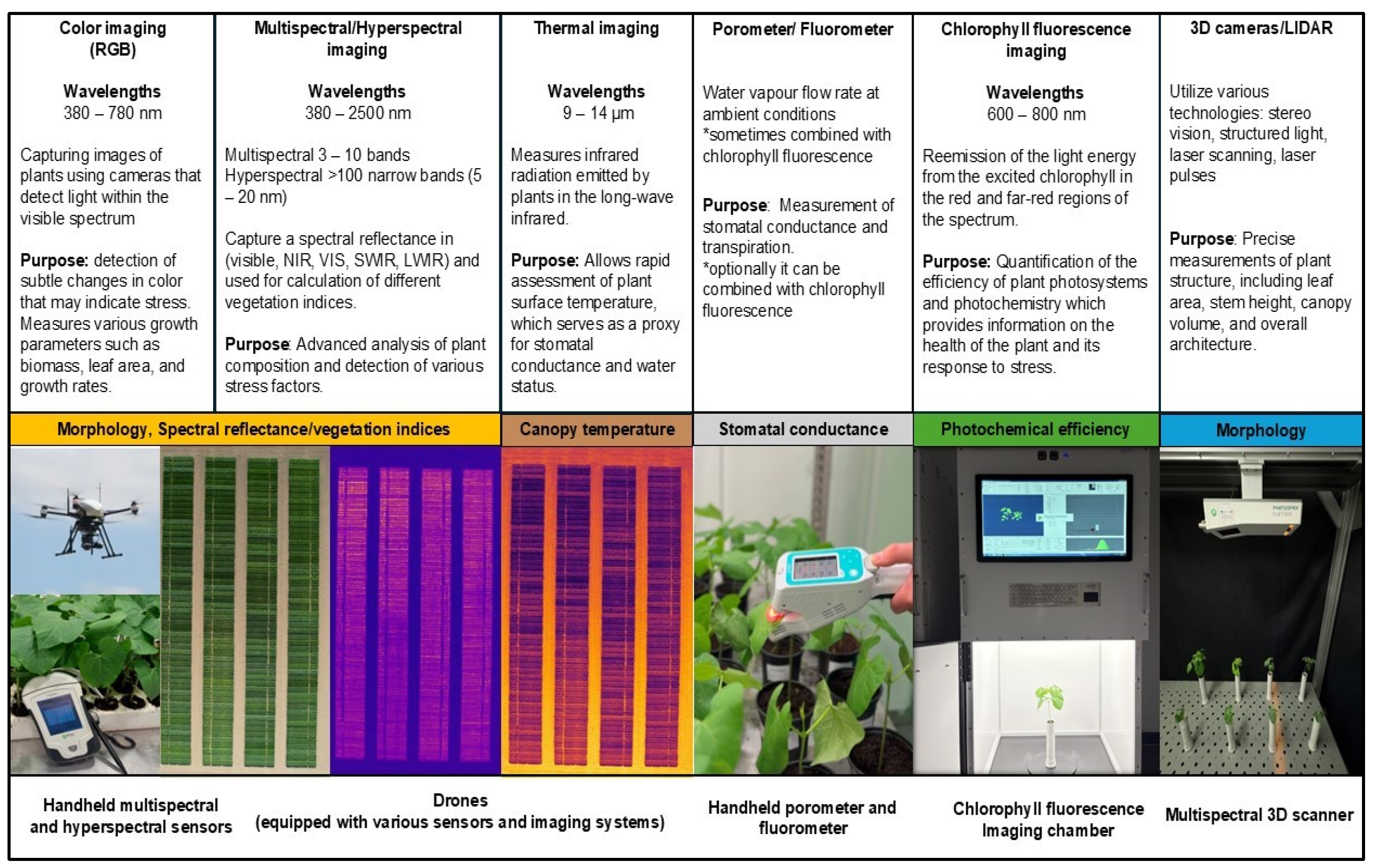 Agronomy 15 01344 g002