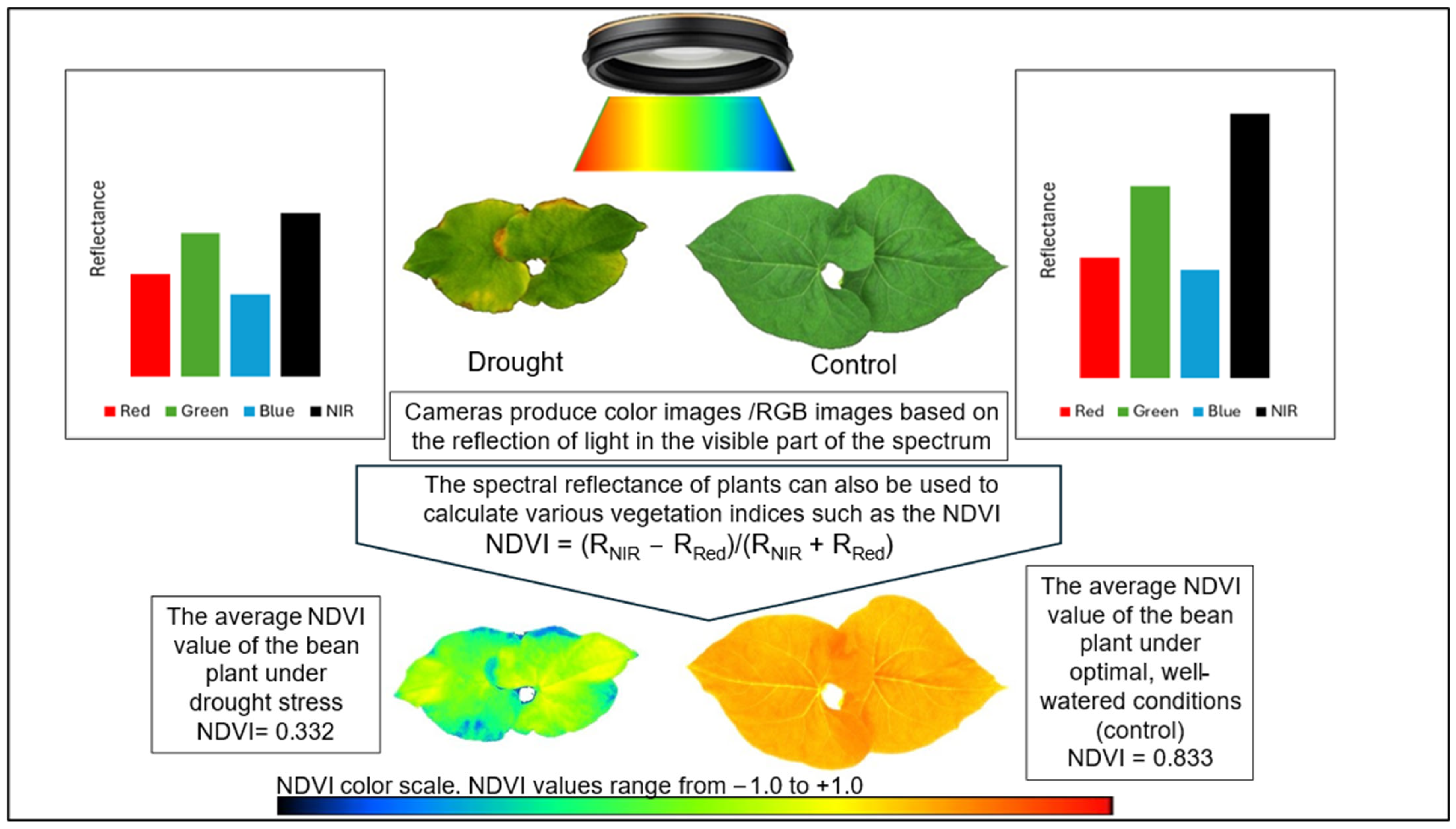 Agronomy 15 01344 g003