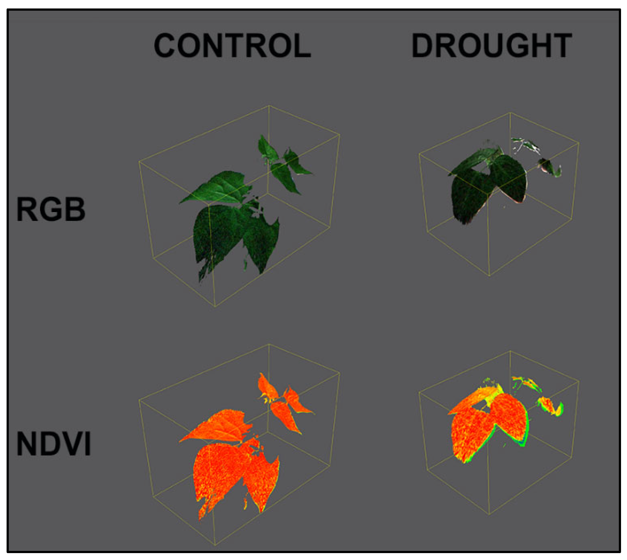 Agronomy 15 01344 g005