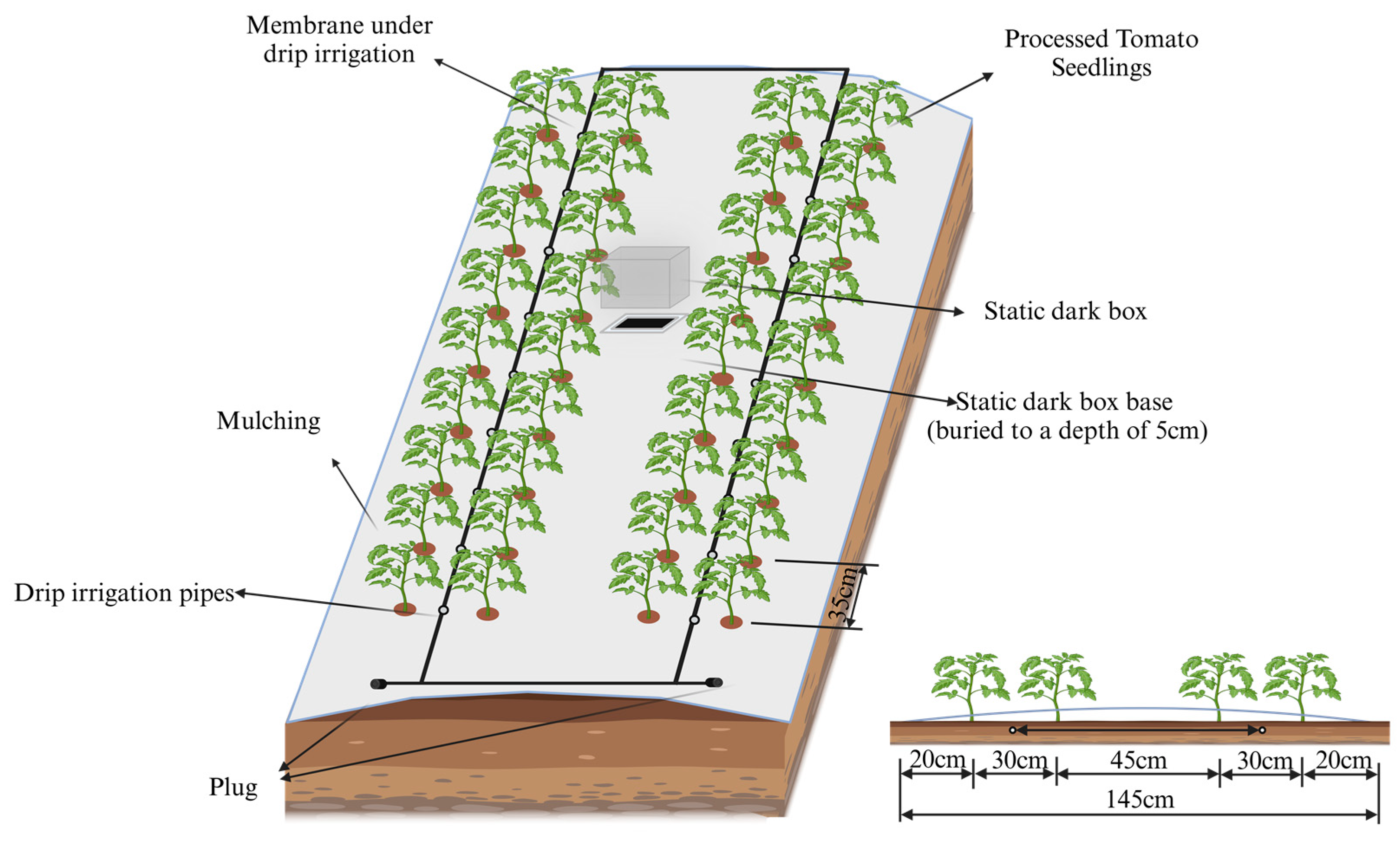 Agronomy 15 01353 g001