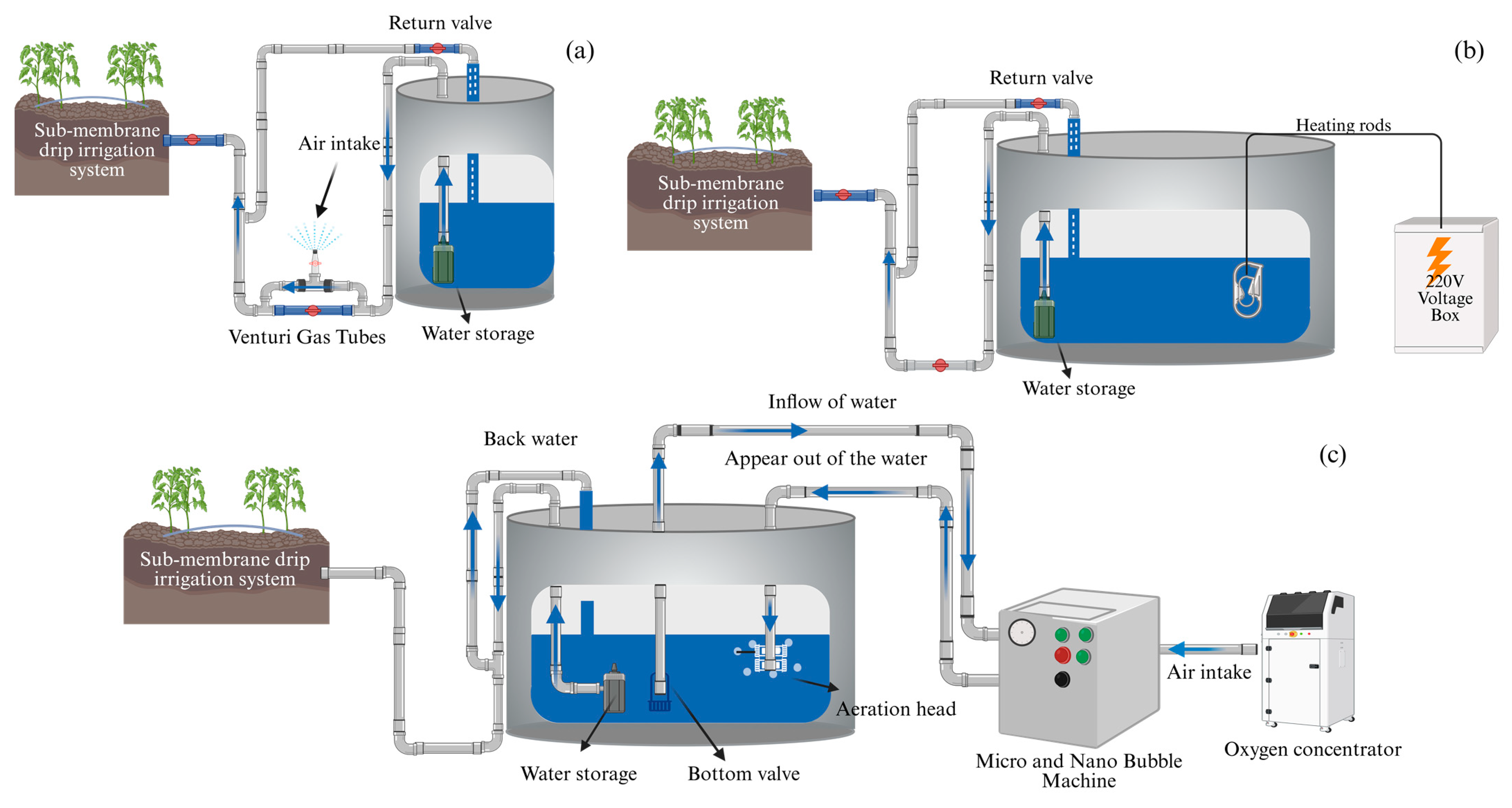 Agronomy 15 01353 g003