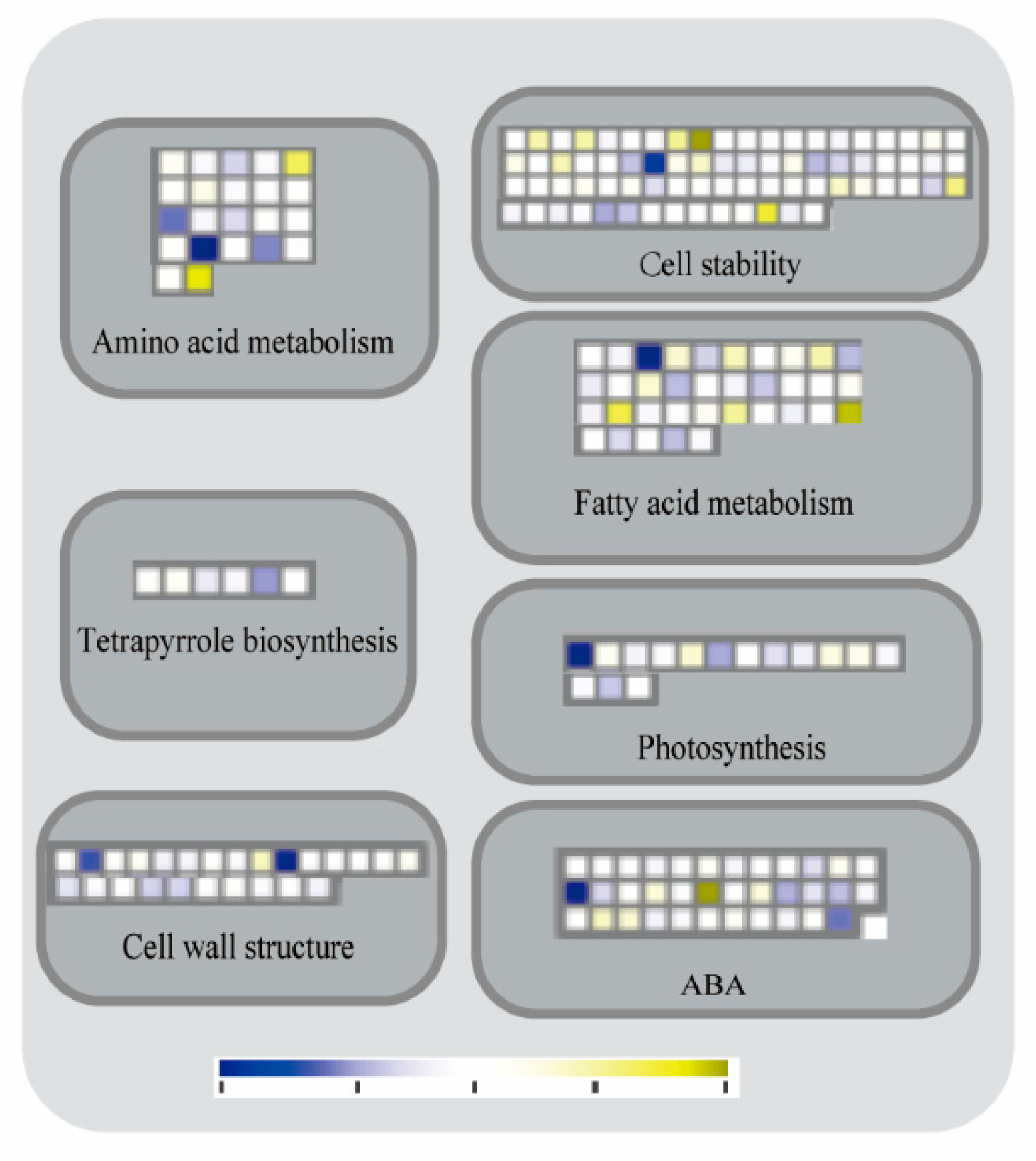 Agronomy 15 01364 g006