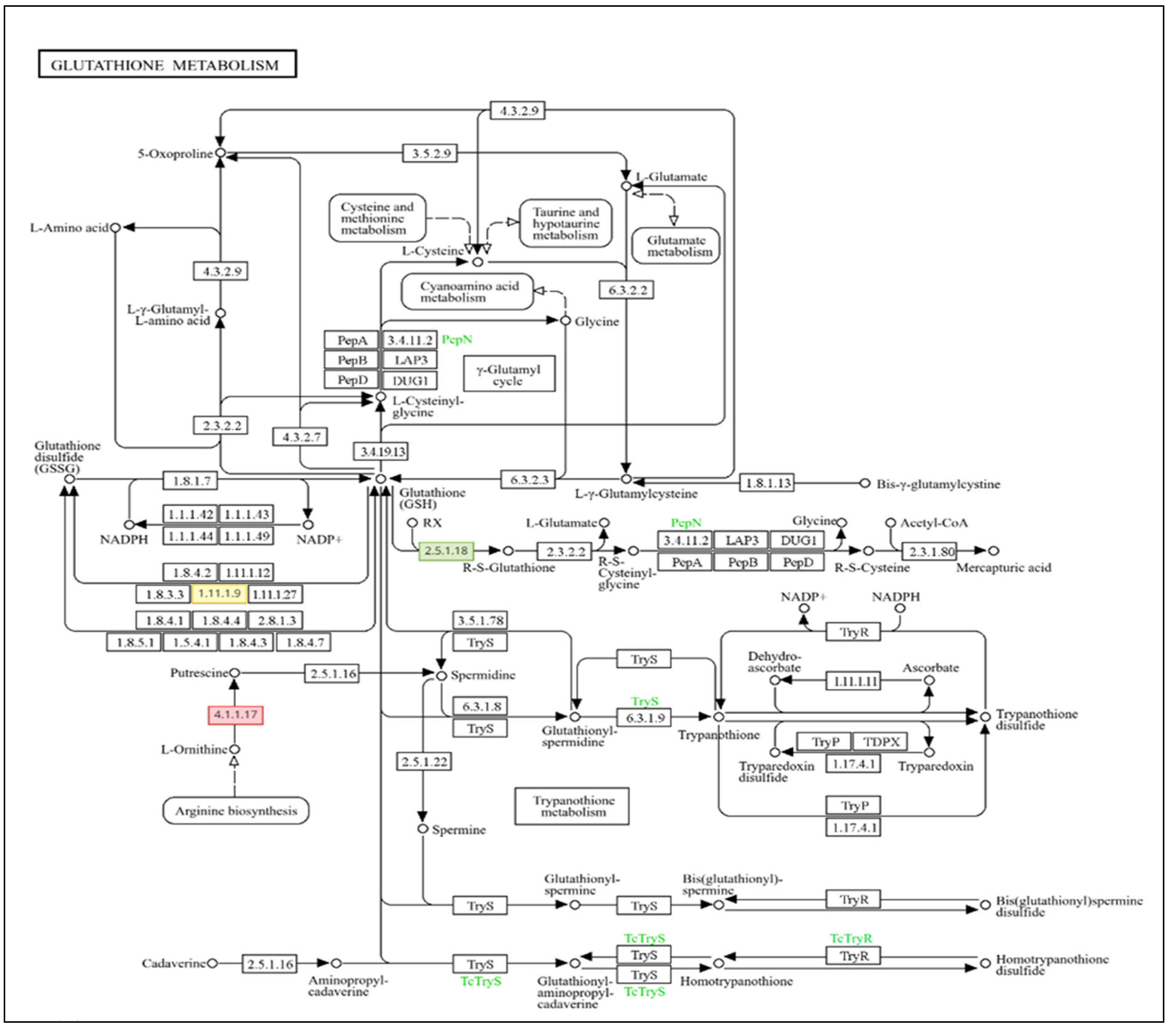 Agronomy 15 01365 g002 Agronomy 15 01365 g002
