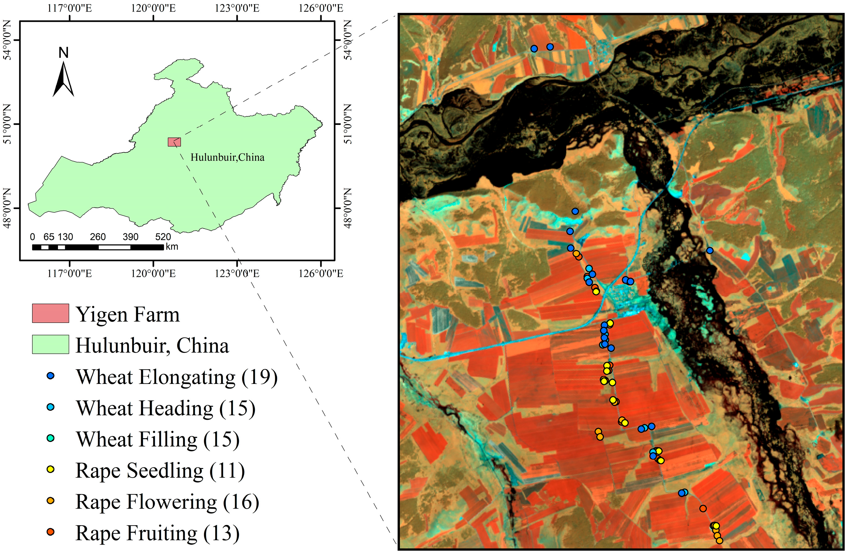 Agronomy 15 01374 g001