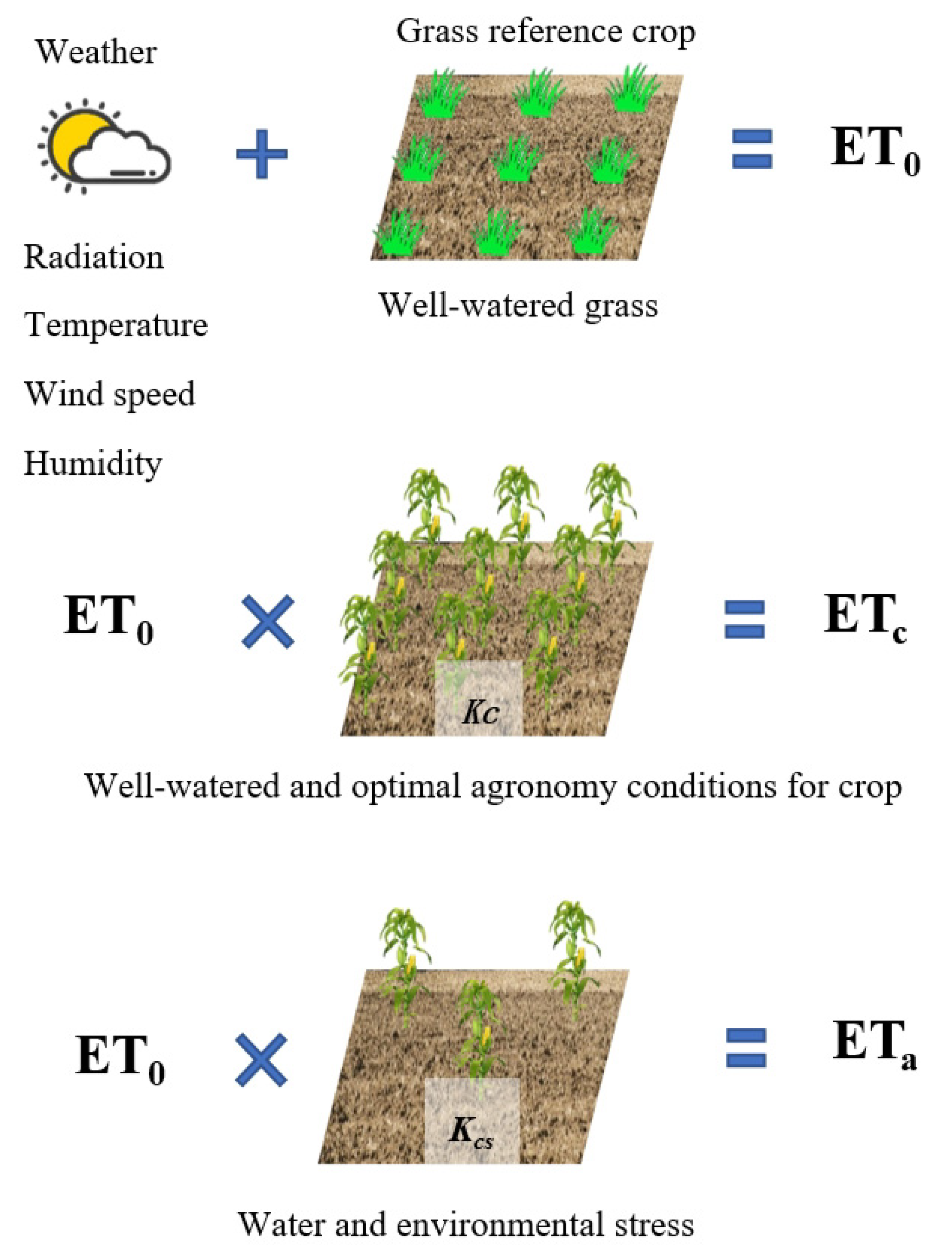 Agronomy 15 01441 g001 Agronomy 15 01441 g001