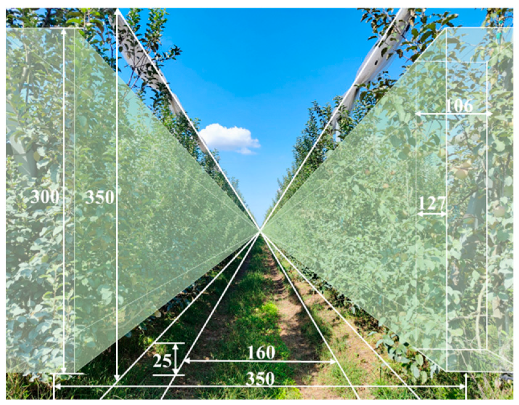 Agronomy 15 01446 g001 Agronomy 15 01446 g001