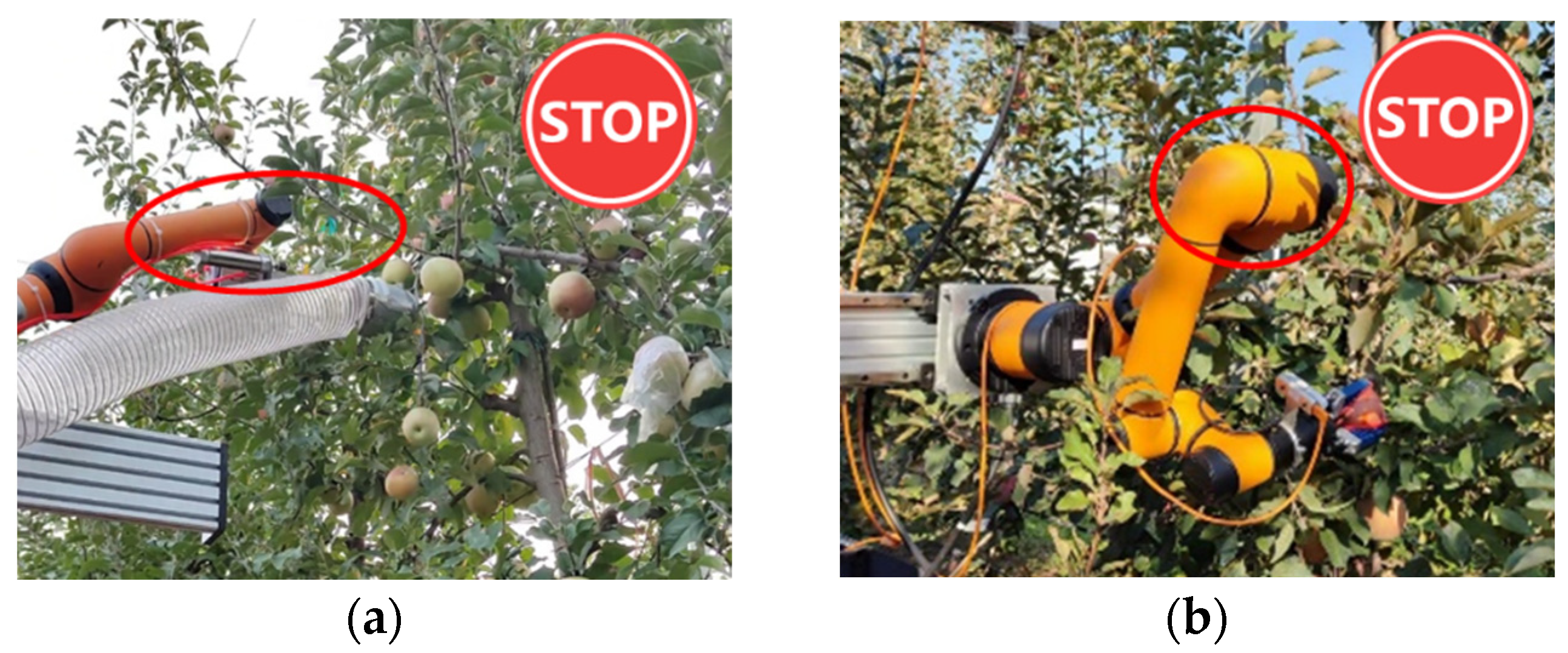 Agronomy 15 01446 g002 Agronomy 15 01446 g002