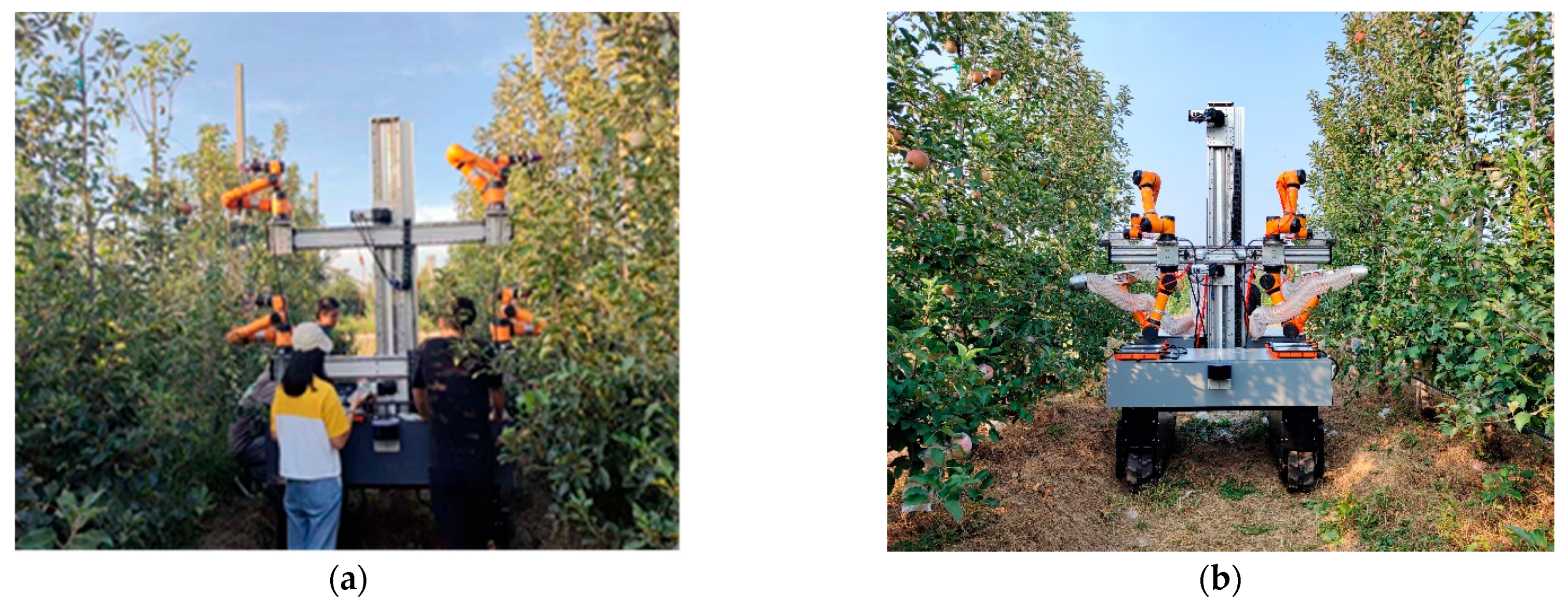 Agronomy 15 01446 g021 Agronomy 15 01446 g021