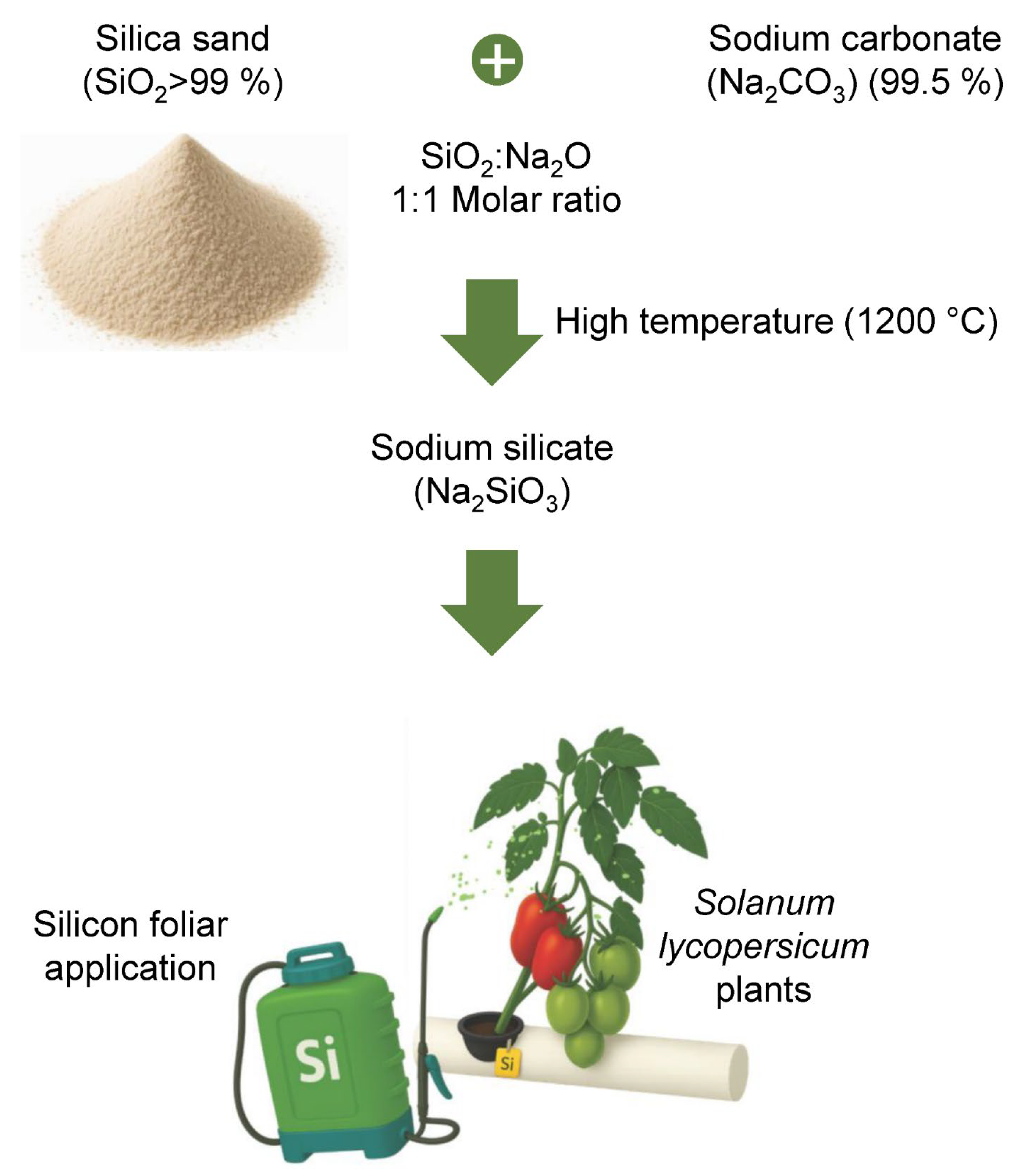 Agronomy 15 01553 g001