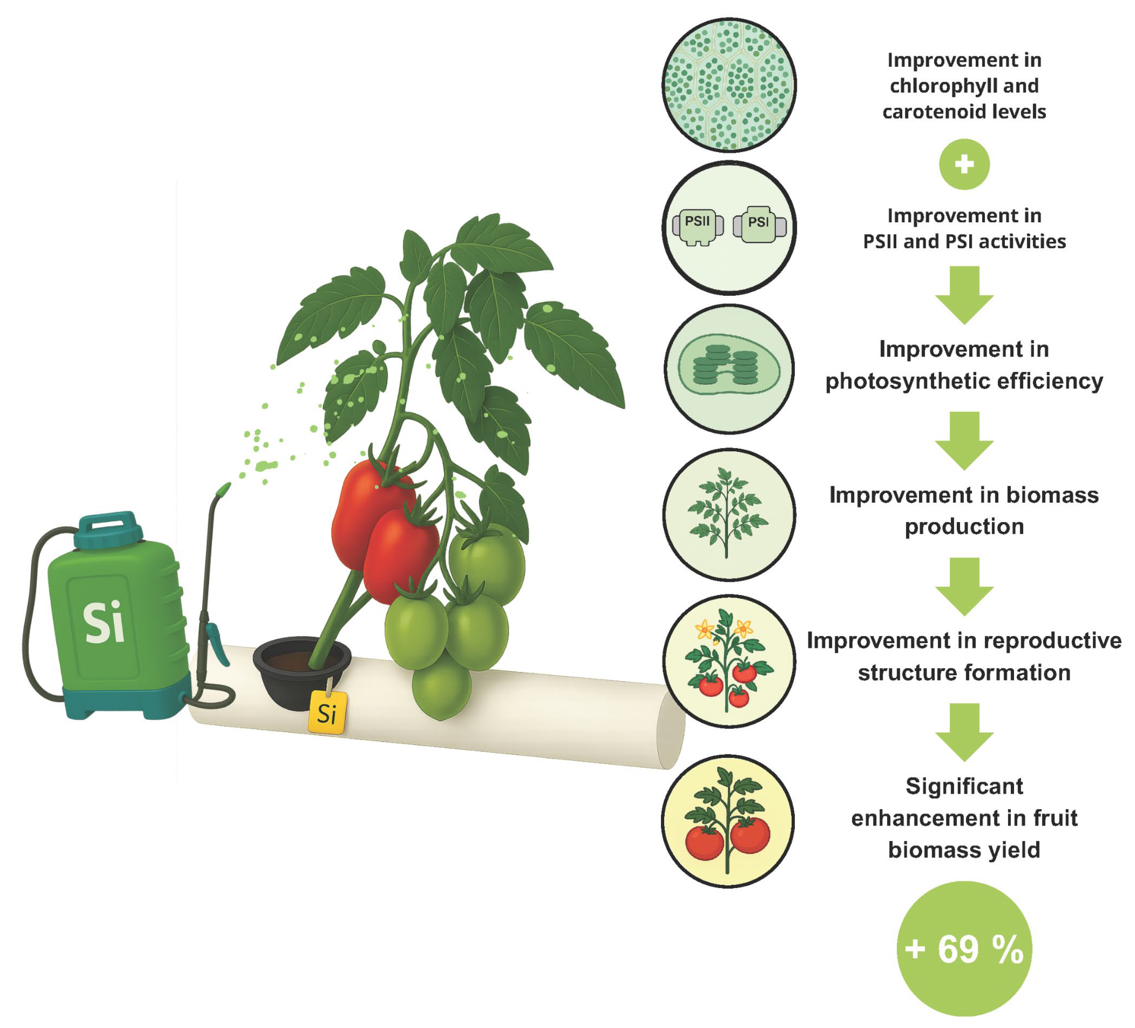 Agronomy 15 01553 g017