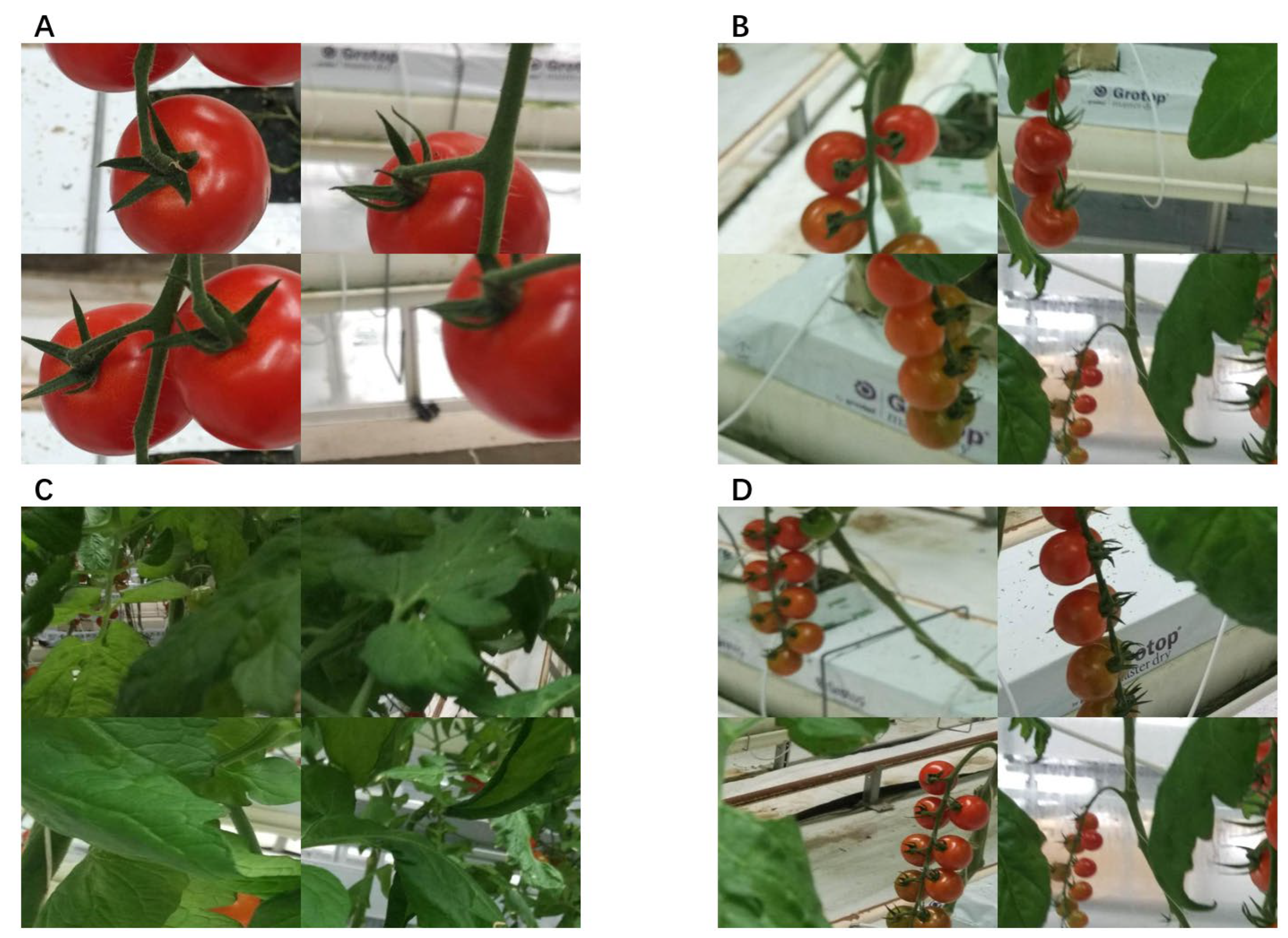 Agronomy 15 01593 g002