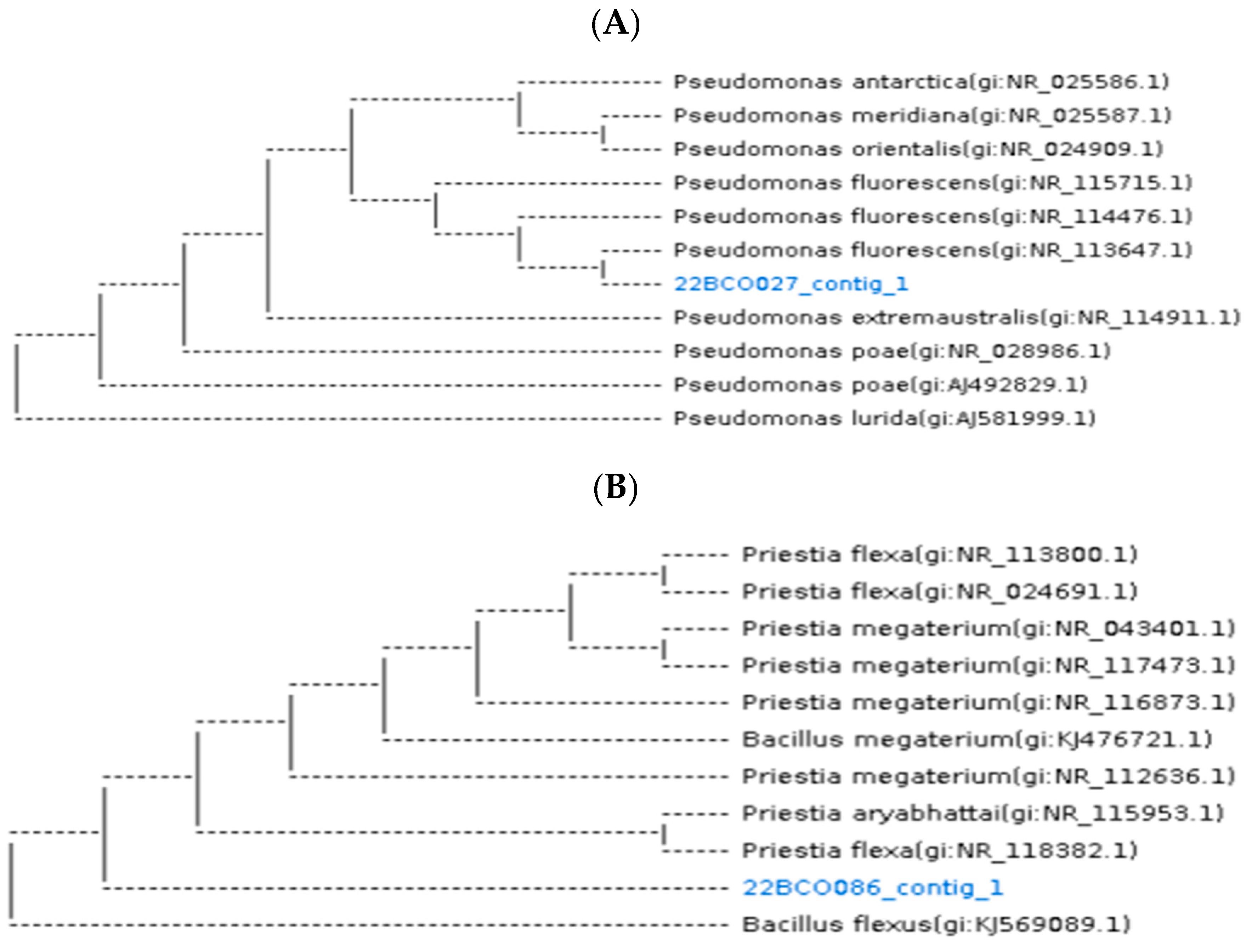 Agronomy 15 01607 g002