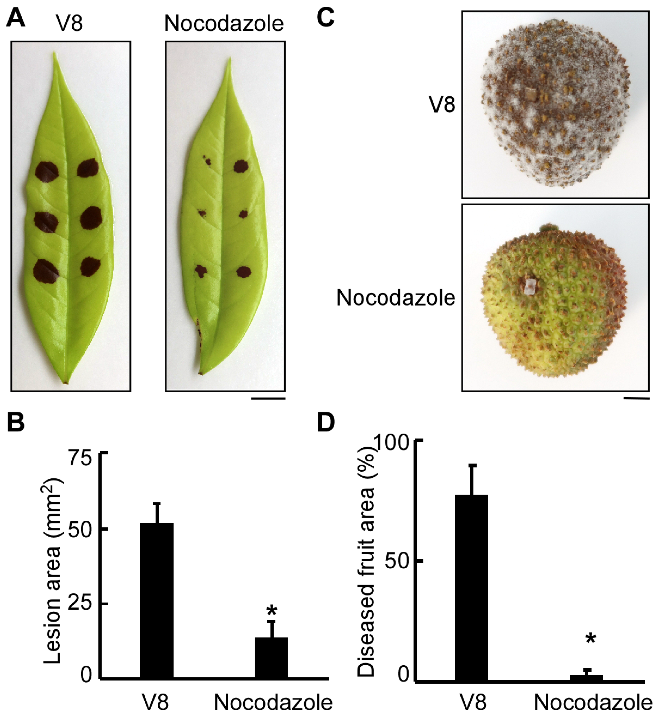 Agronomy 15 01619 g003 Agronomy 15 01619 g003
