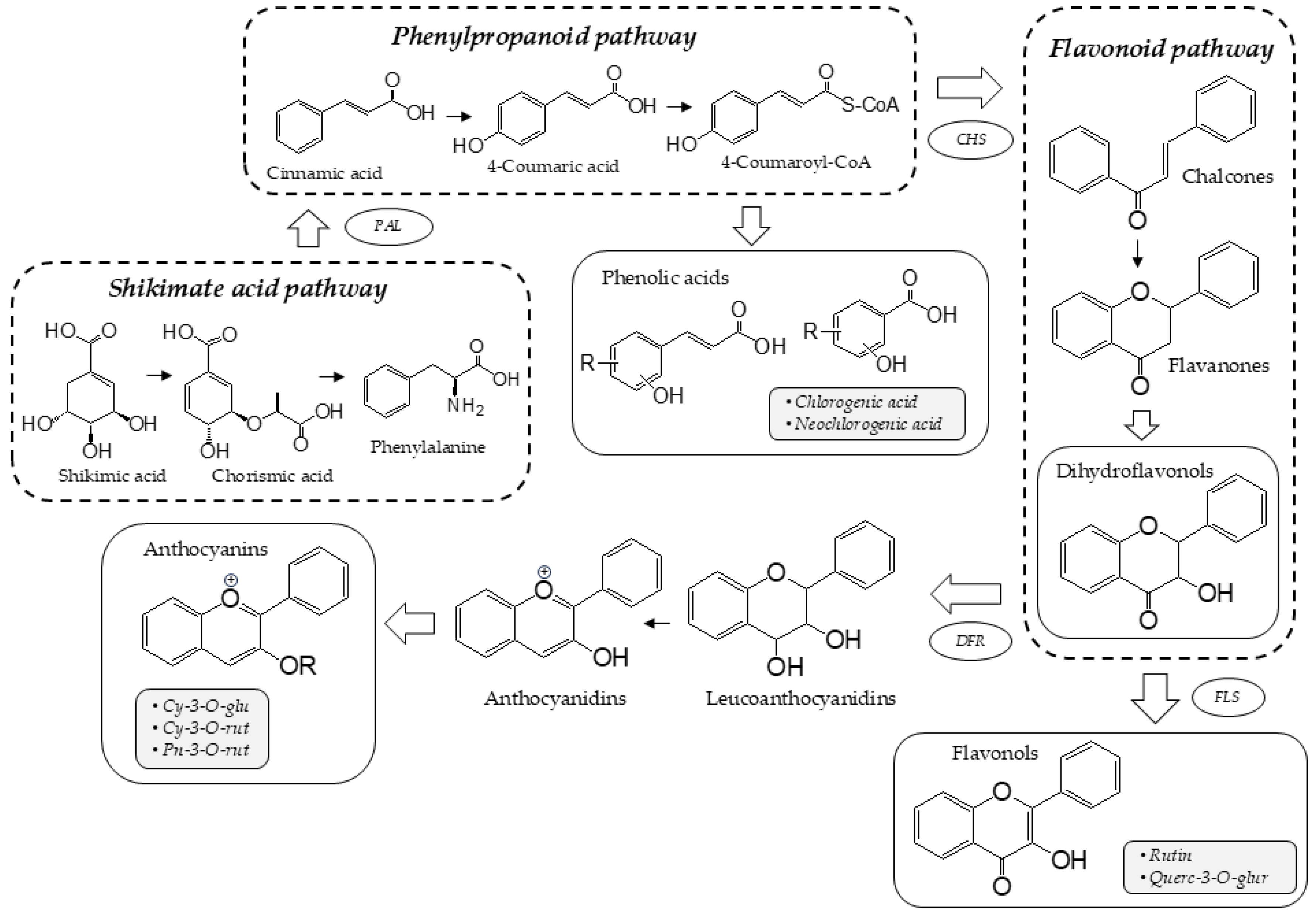 Agronomy 15 01652 g001
