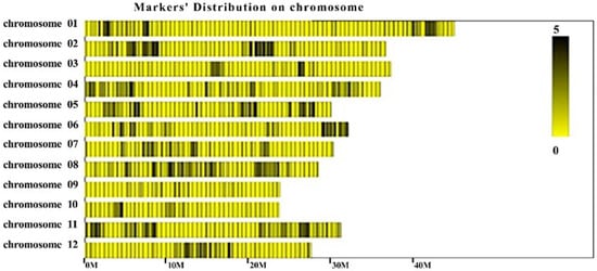 Agronomy 15 01690 g0a2