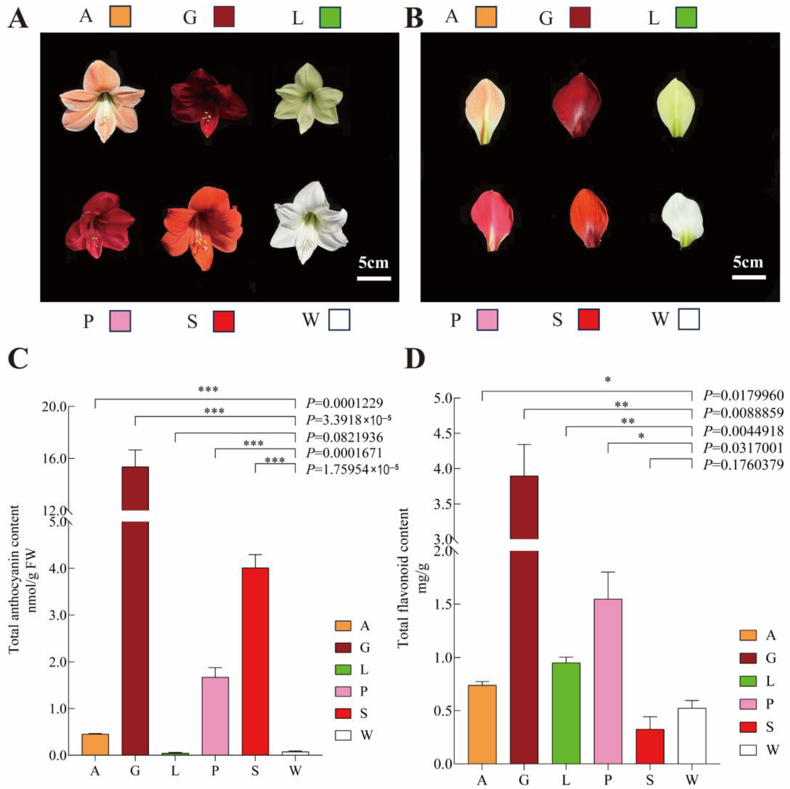 Agronomy 15 01722 g001