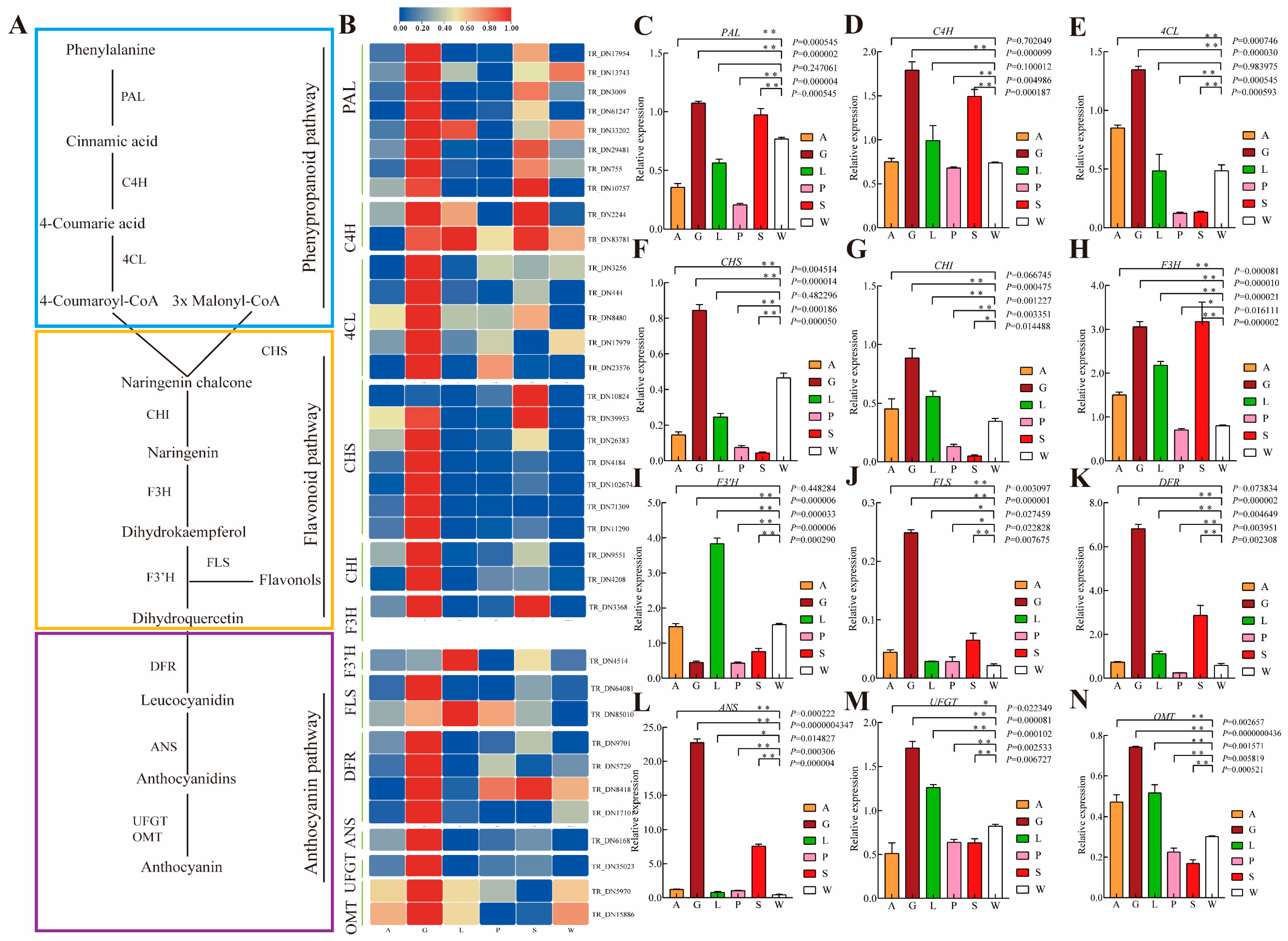 Agronomy 15 01722 g004
