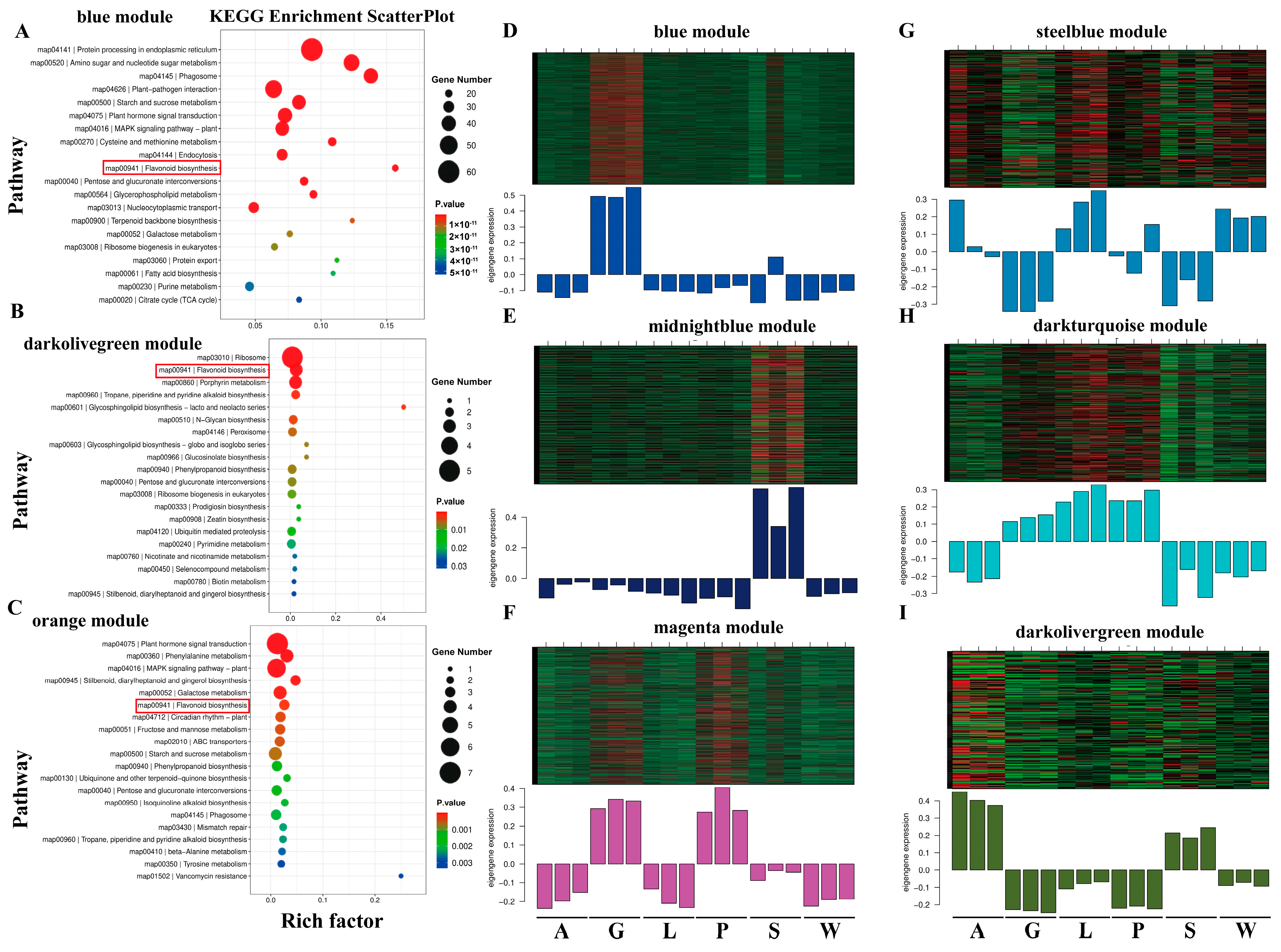Agronomy 15 01722 g006