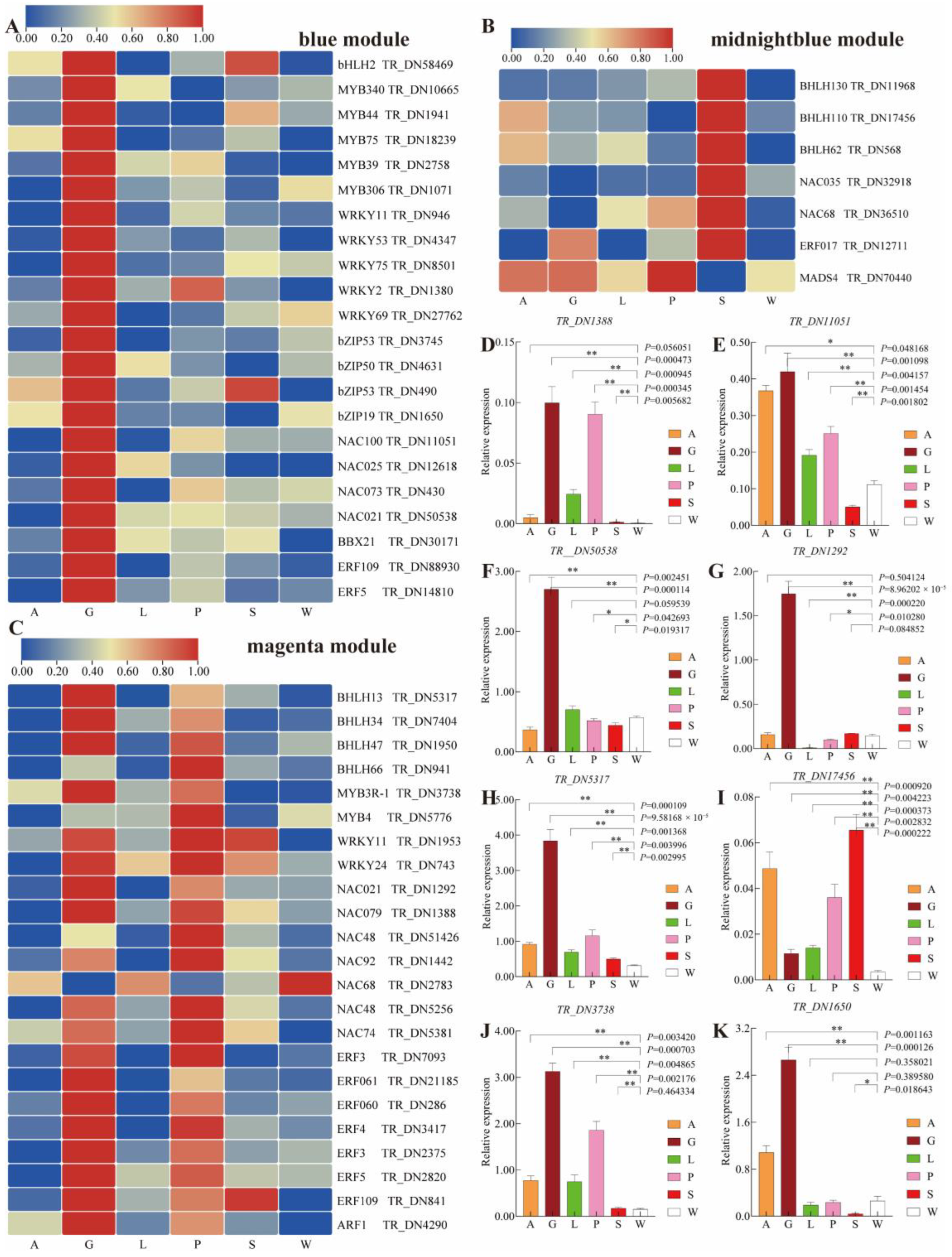 Agronomy 15 01722 g007